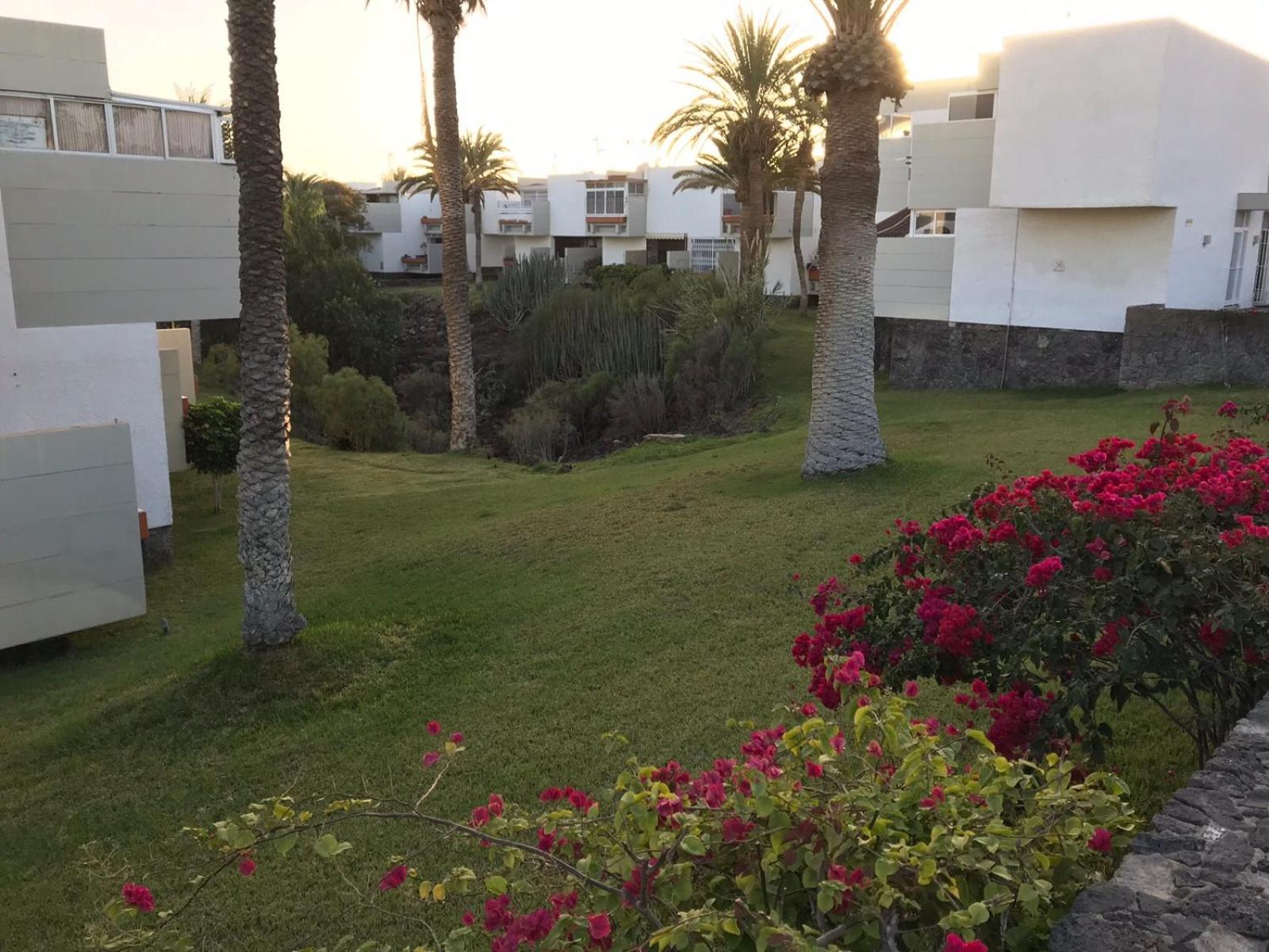Primavera Tenerife Sur view 2