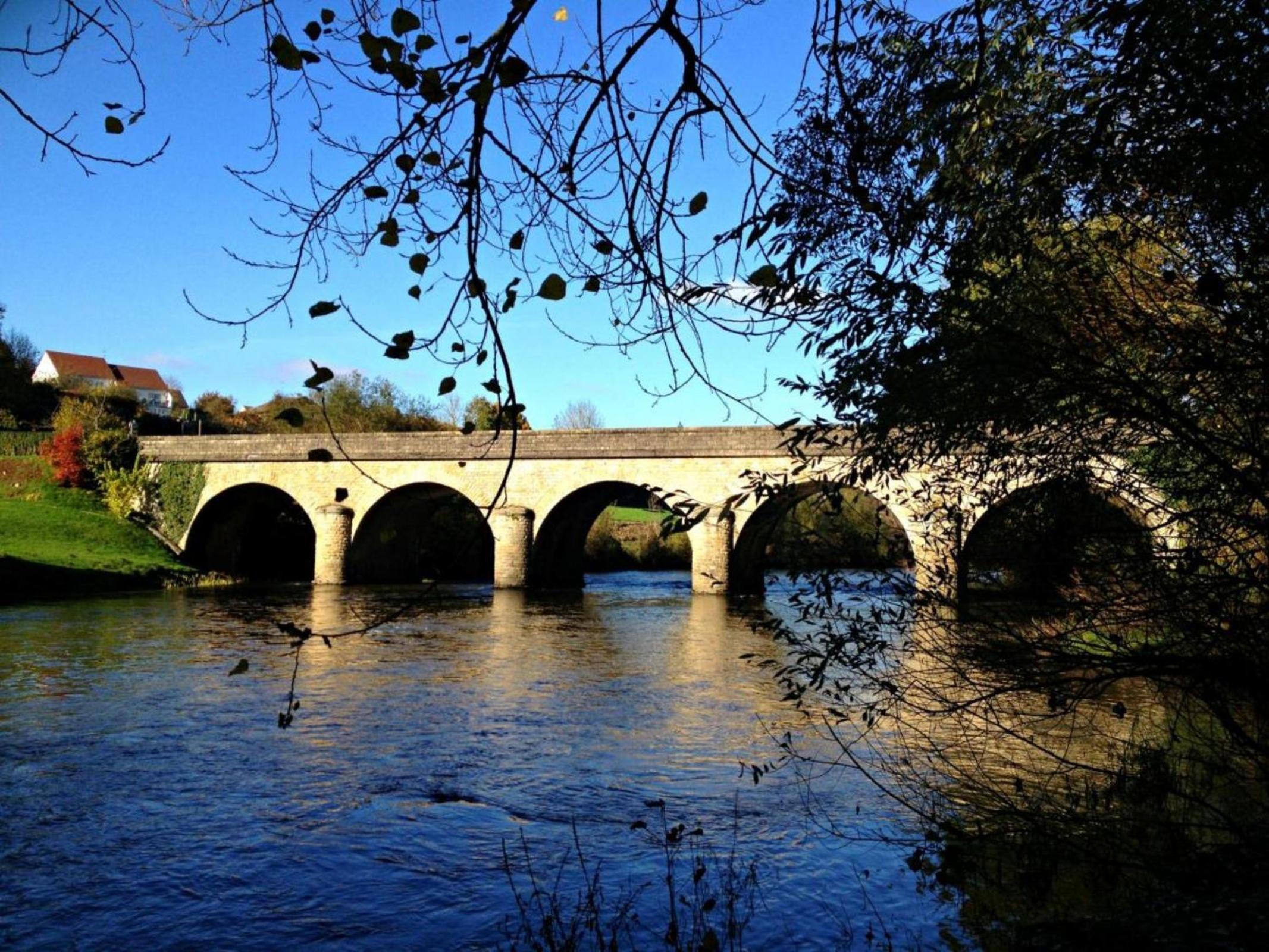 Photo 11