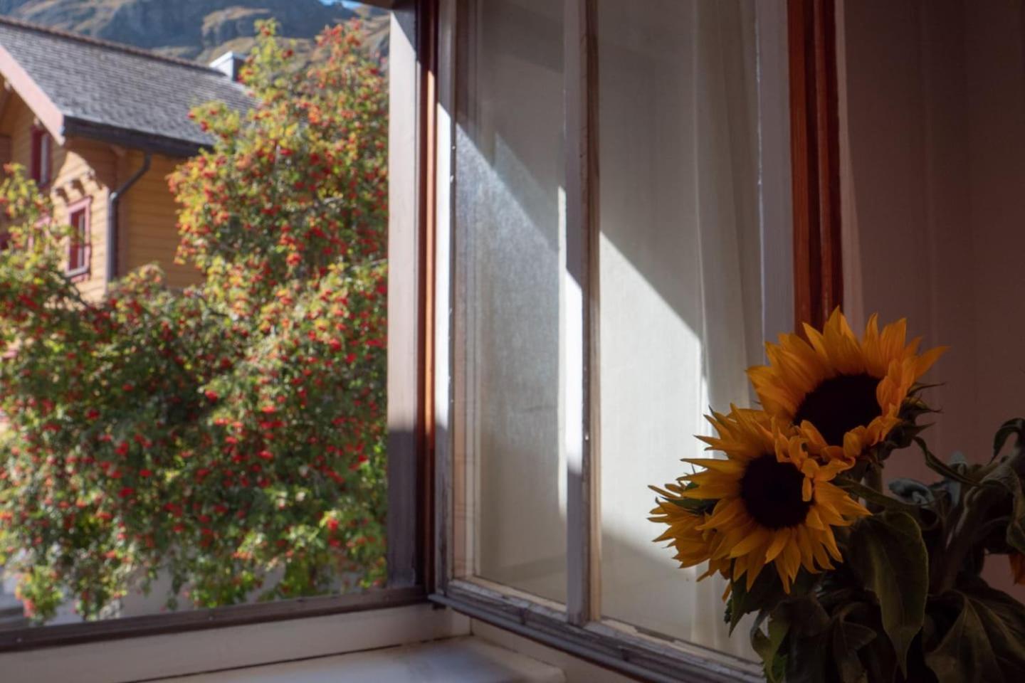 Ferienhaus Septimer