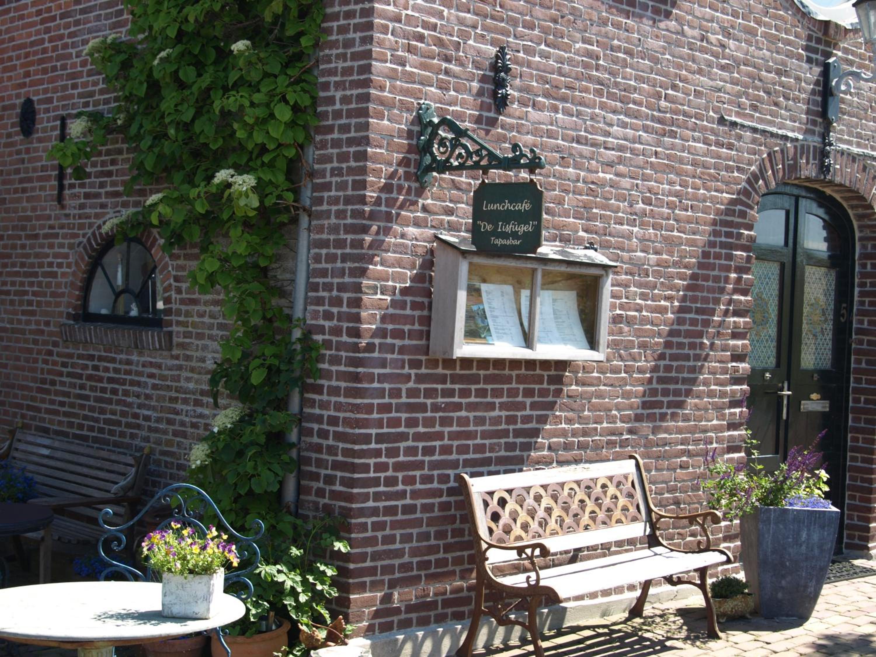De iisfugel view 2