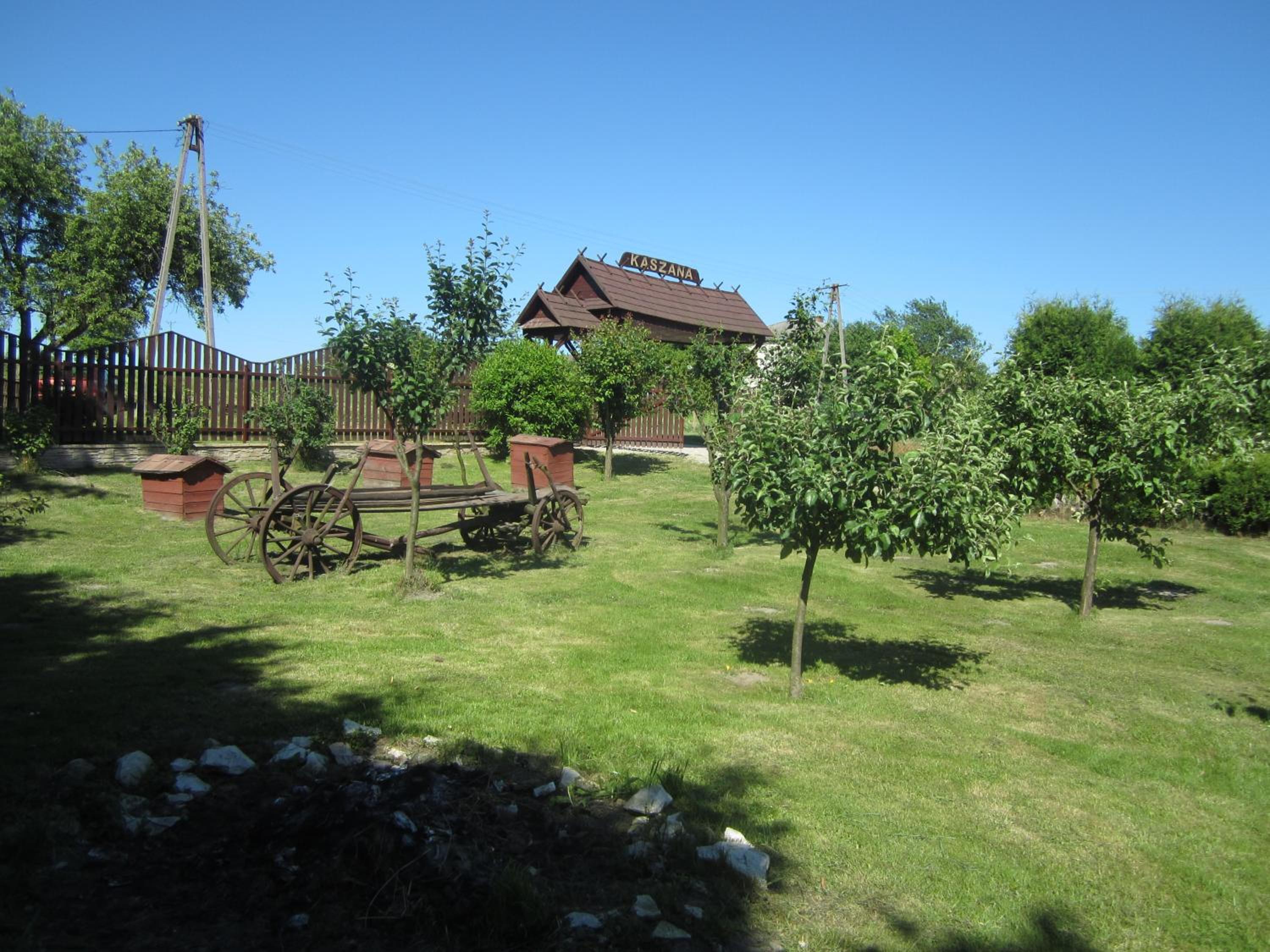 Photo 18