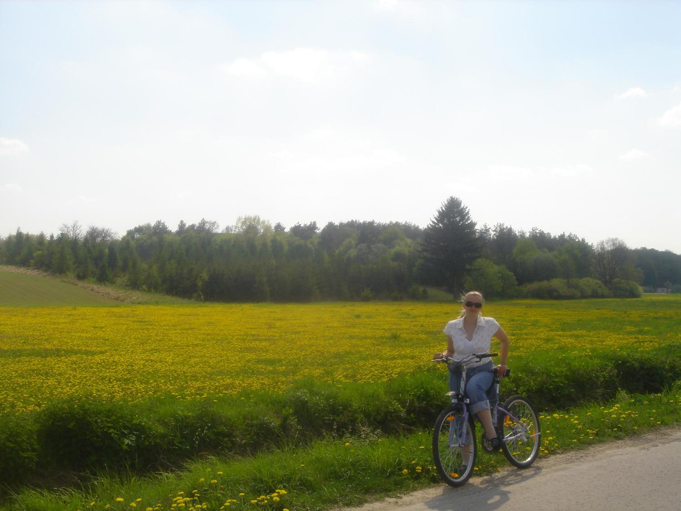 Photo 22