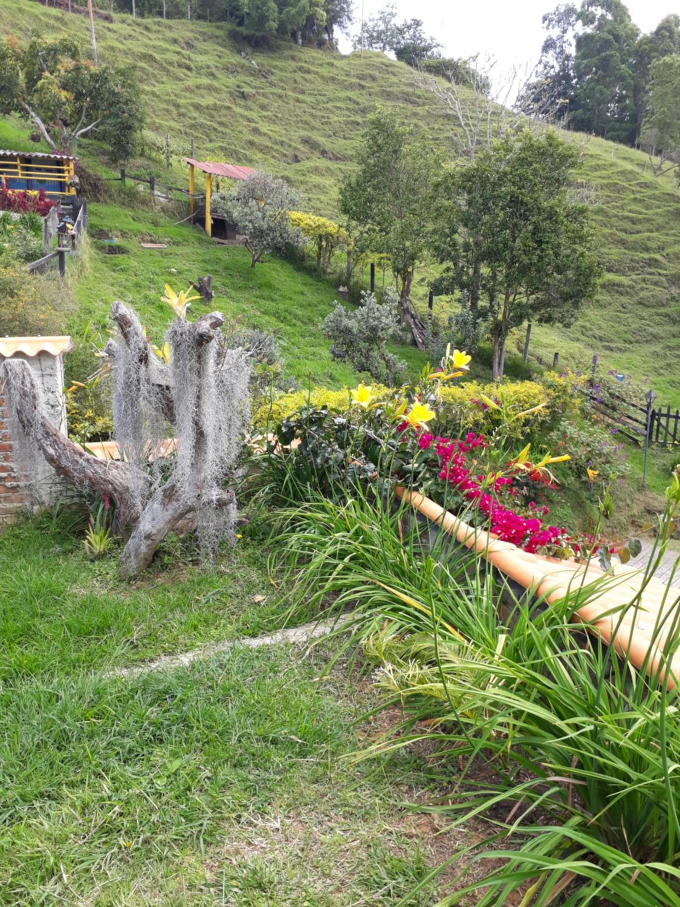 Finca Cardonales
