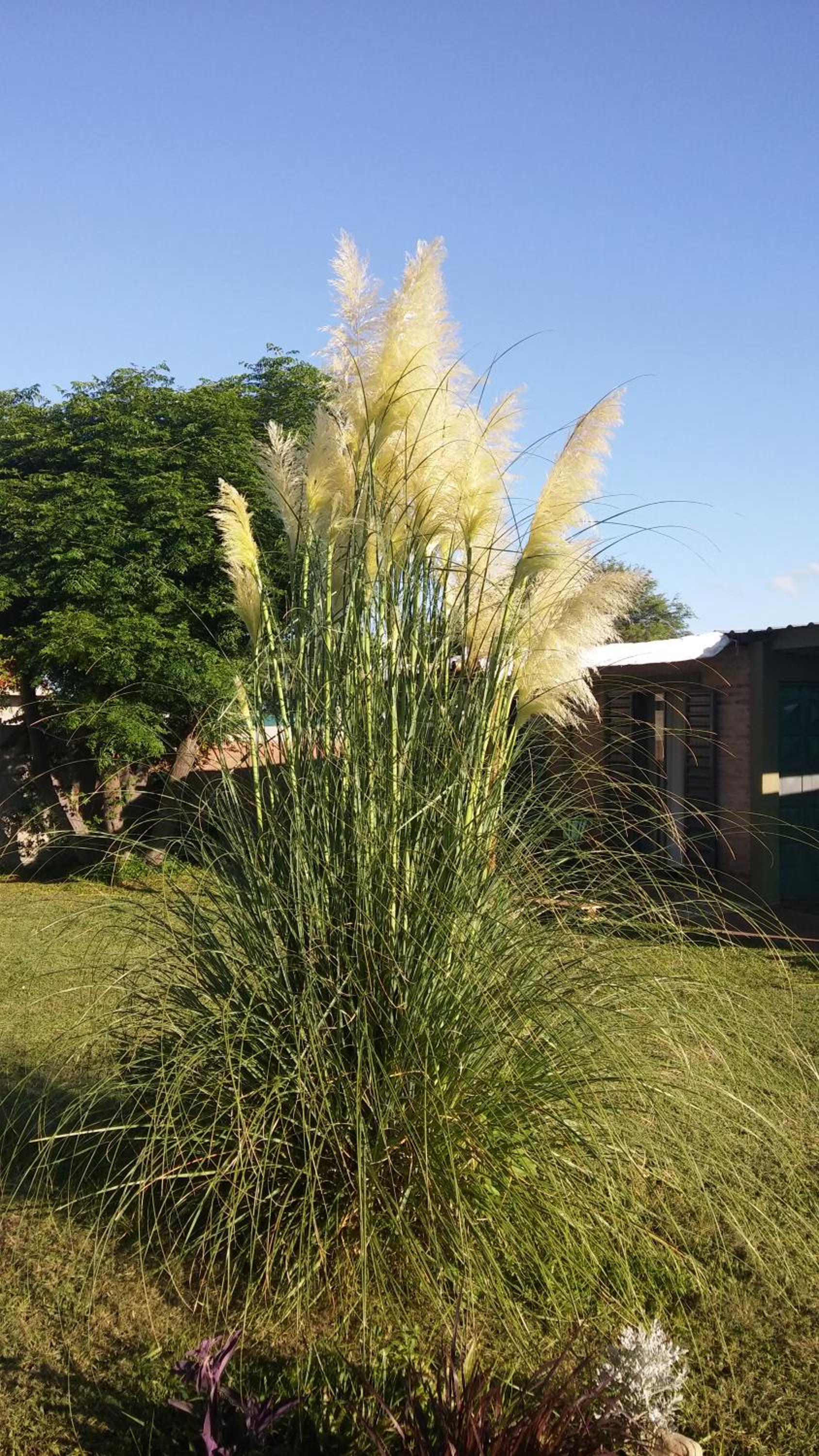 Cabaña Los Espinillos de San Isidro