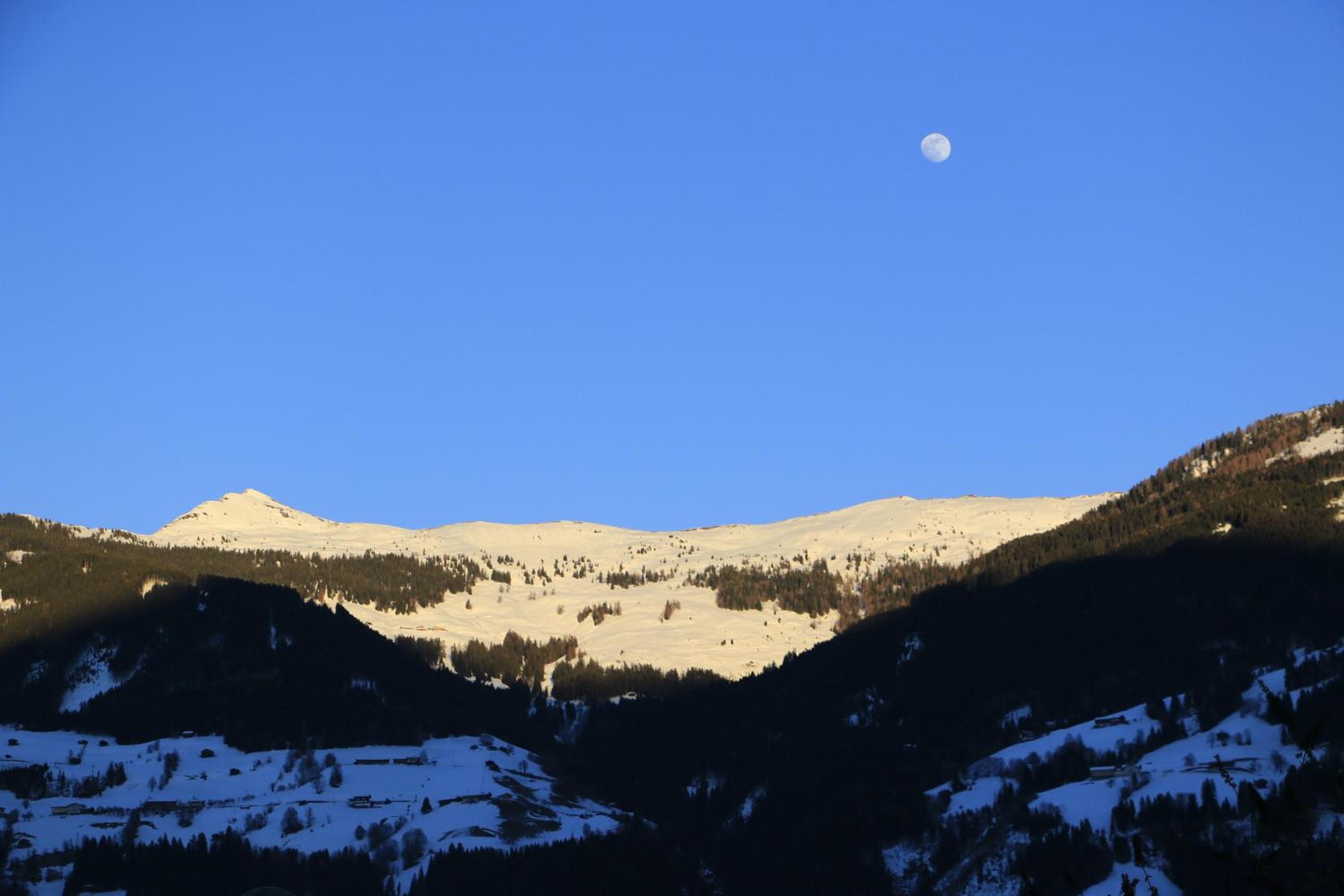 Photo 46