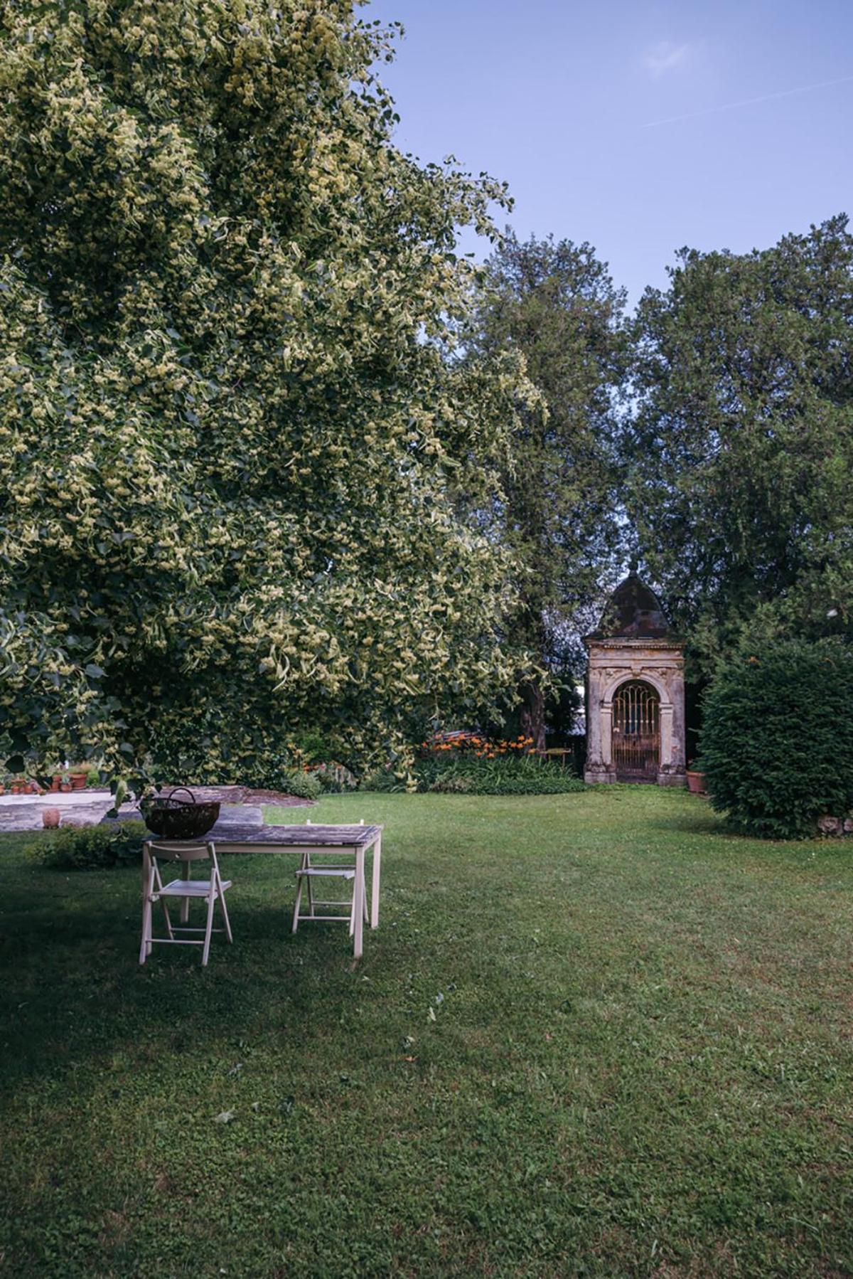 Photo 30