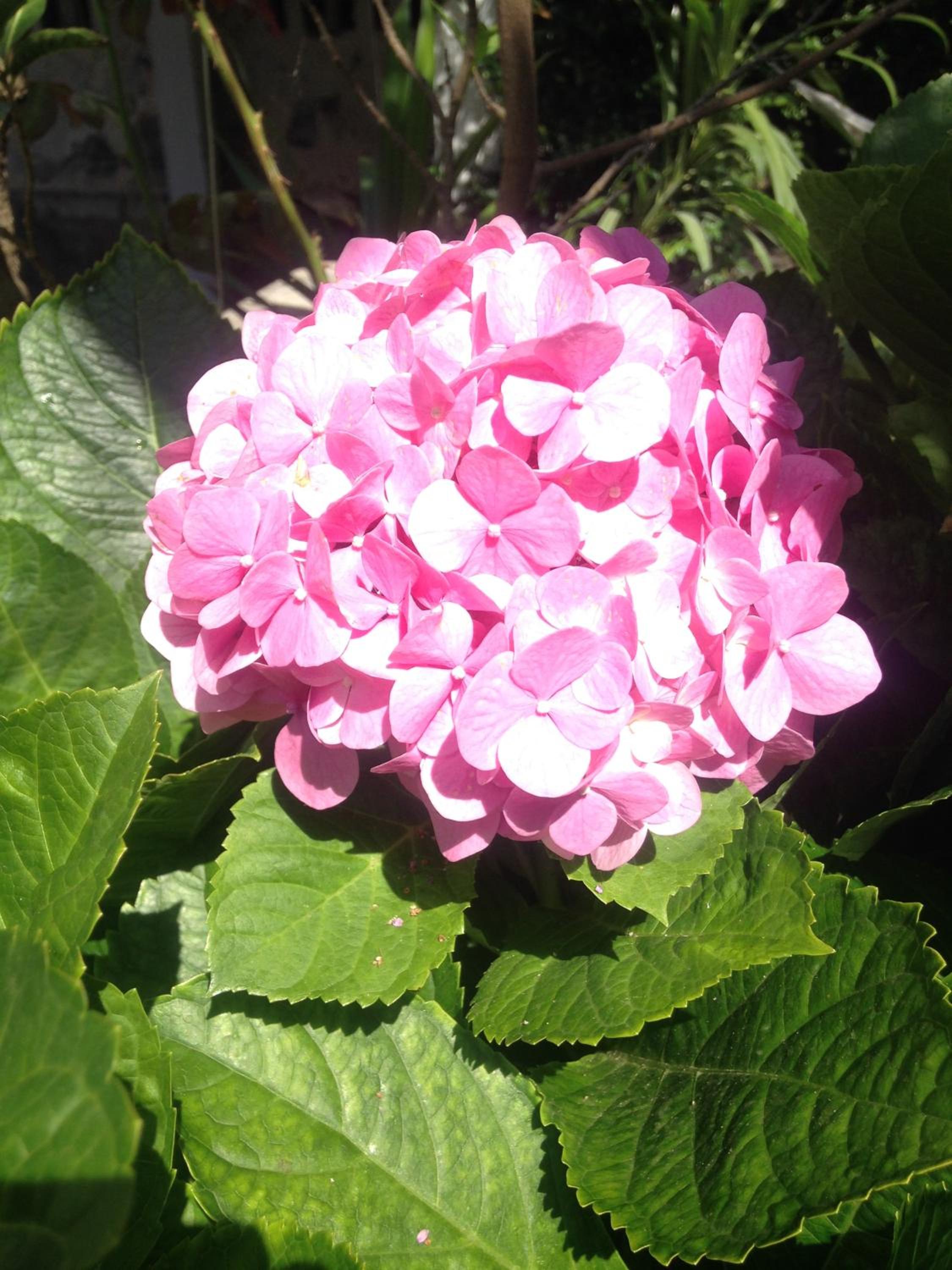 Photo 17