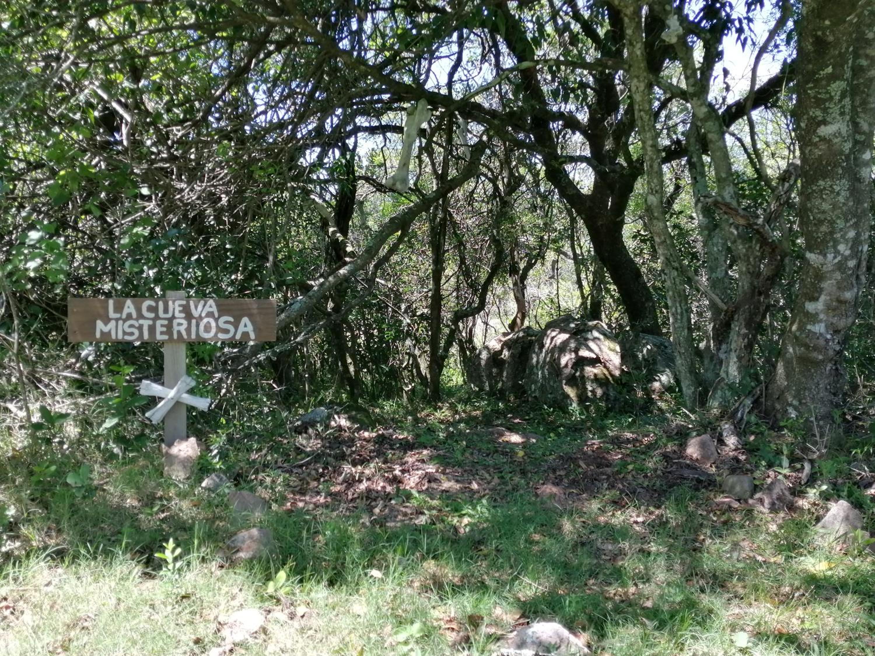 Photo 24