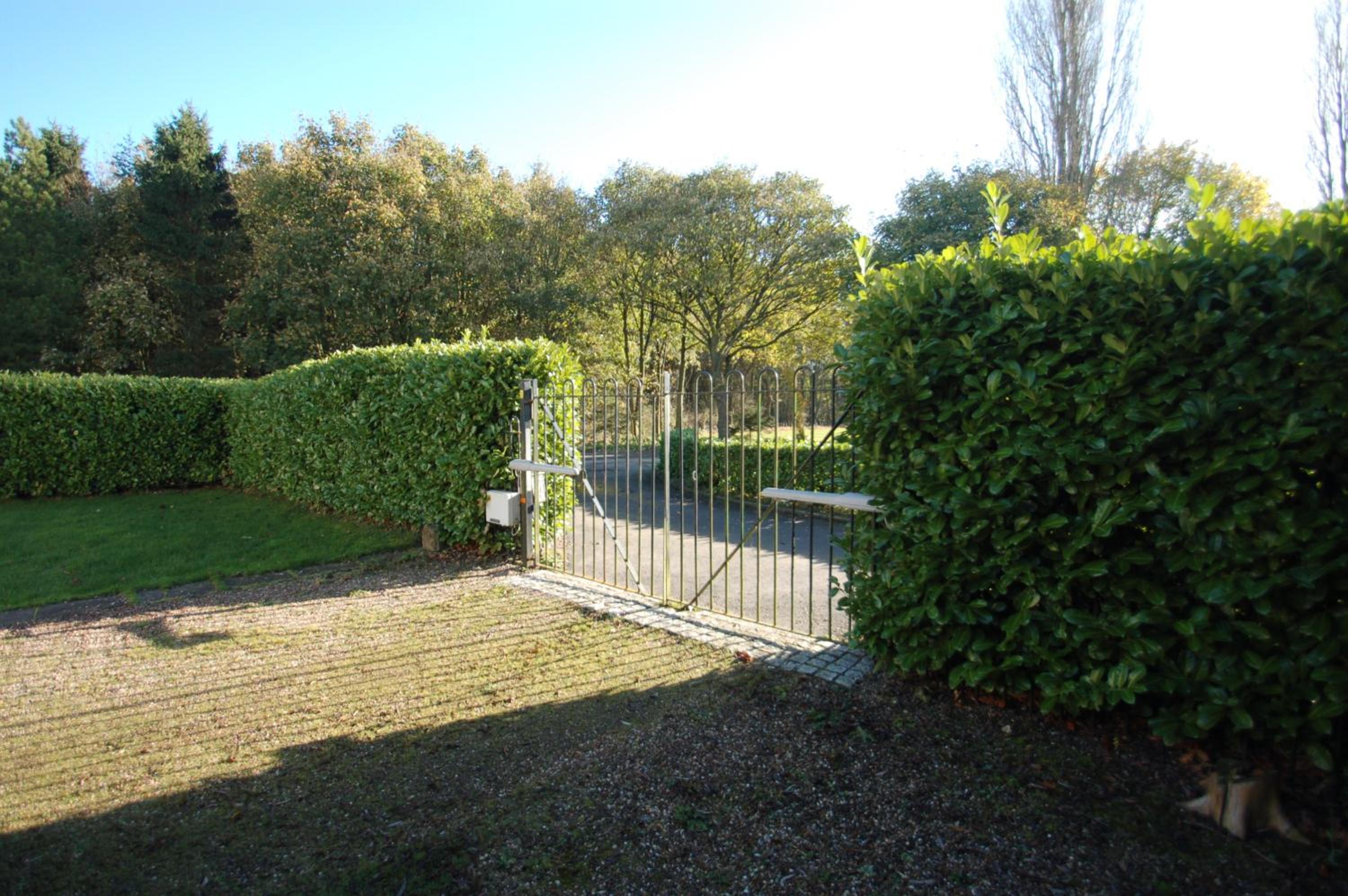 Photo 44