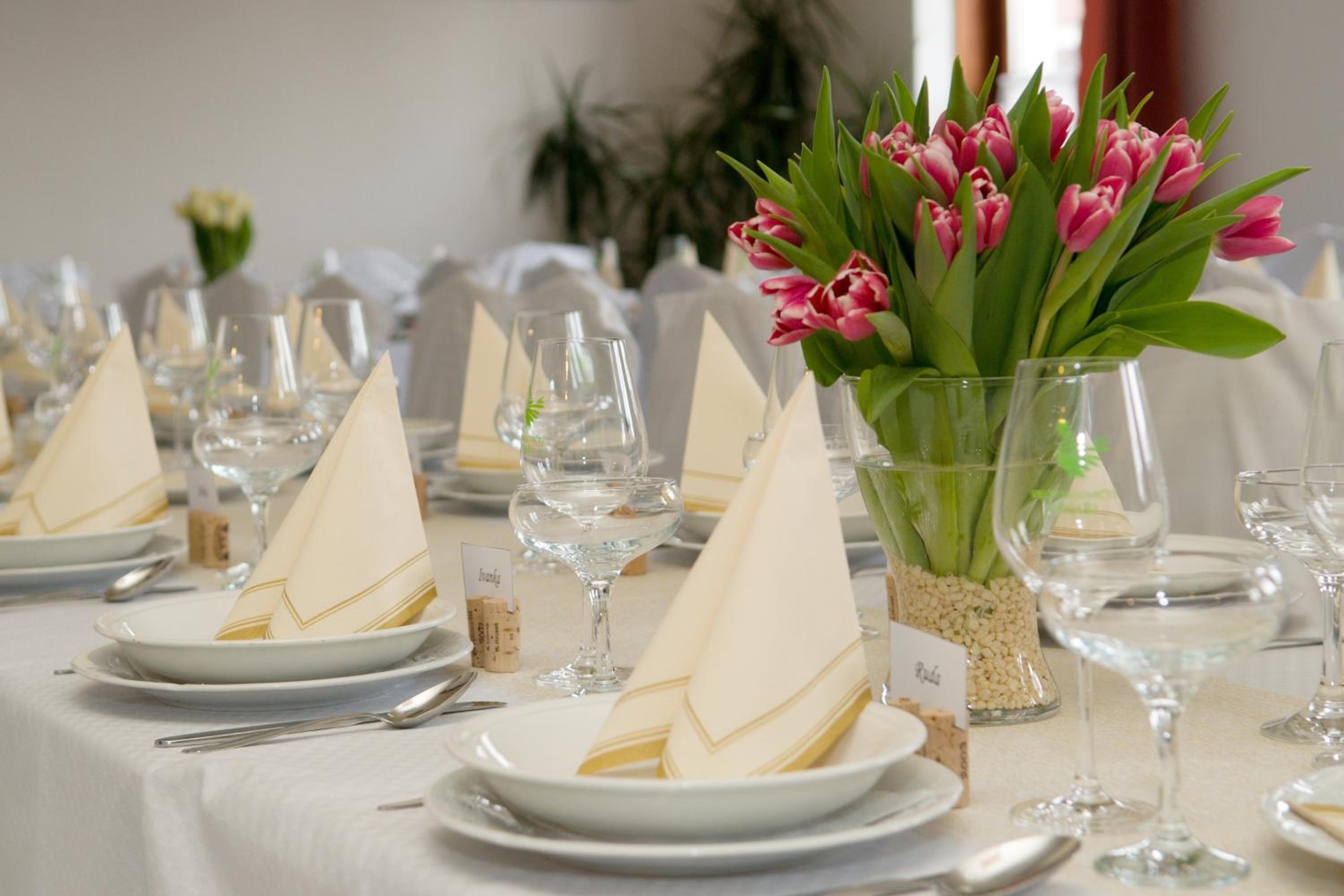 Penzion a restaurace U Hroznu