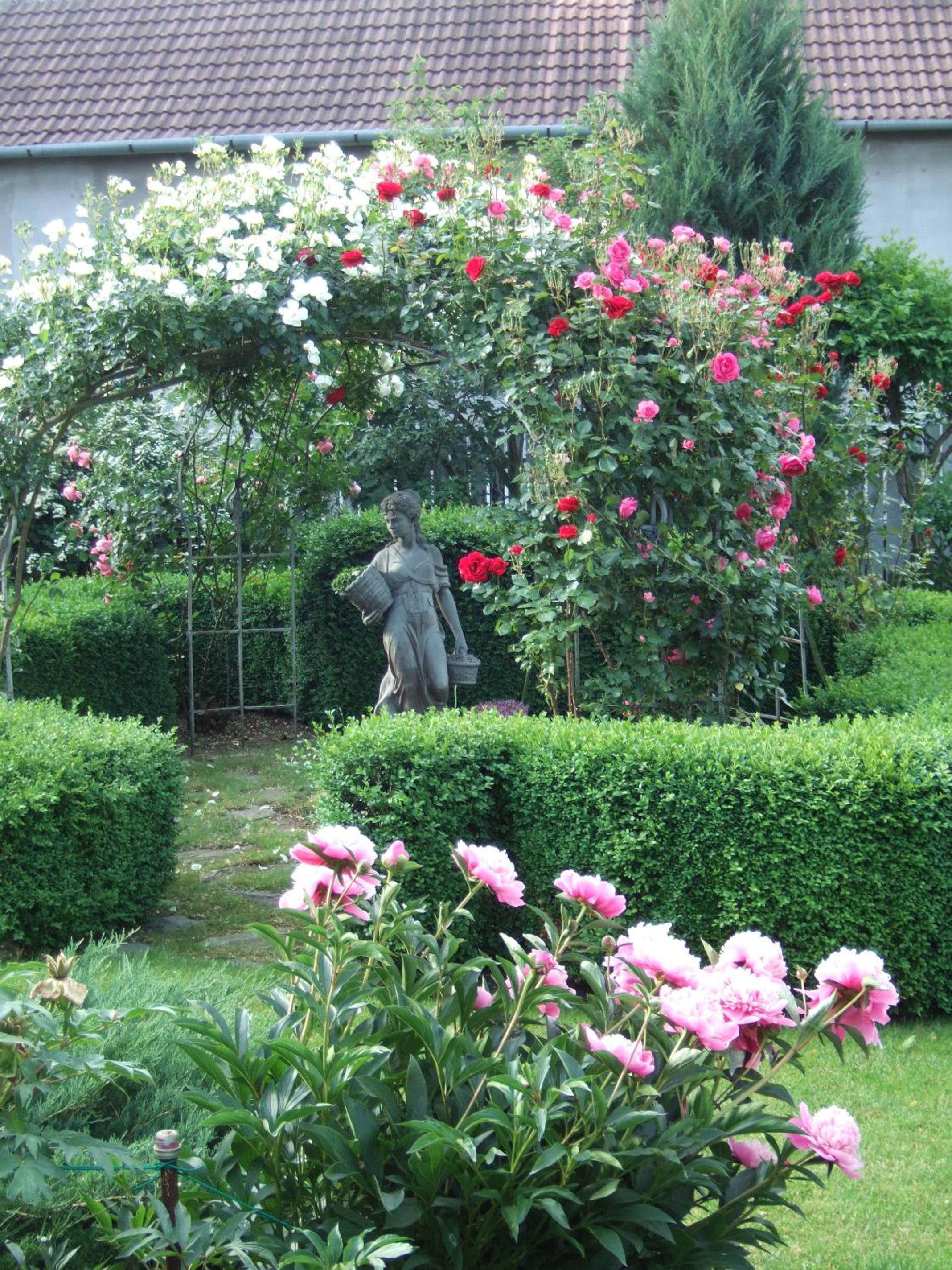 Photo 26