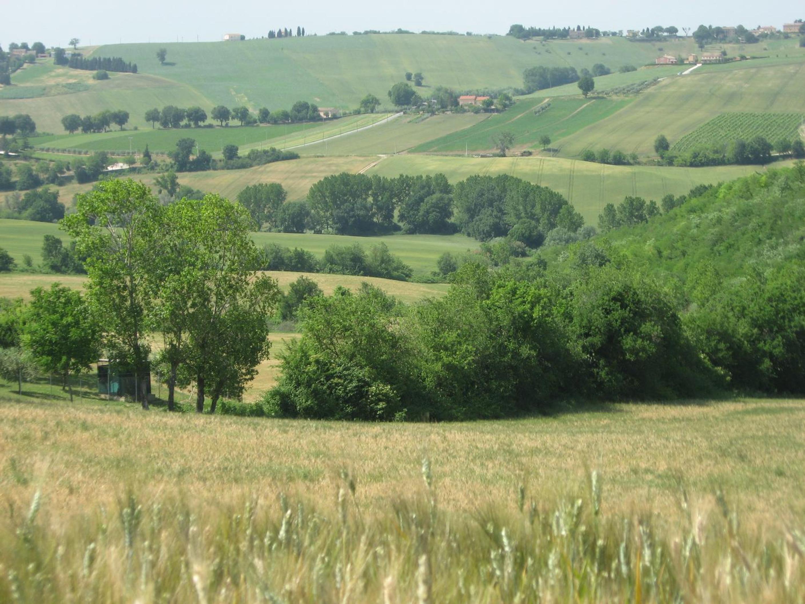 Il Giardino Degli Ulivi