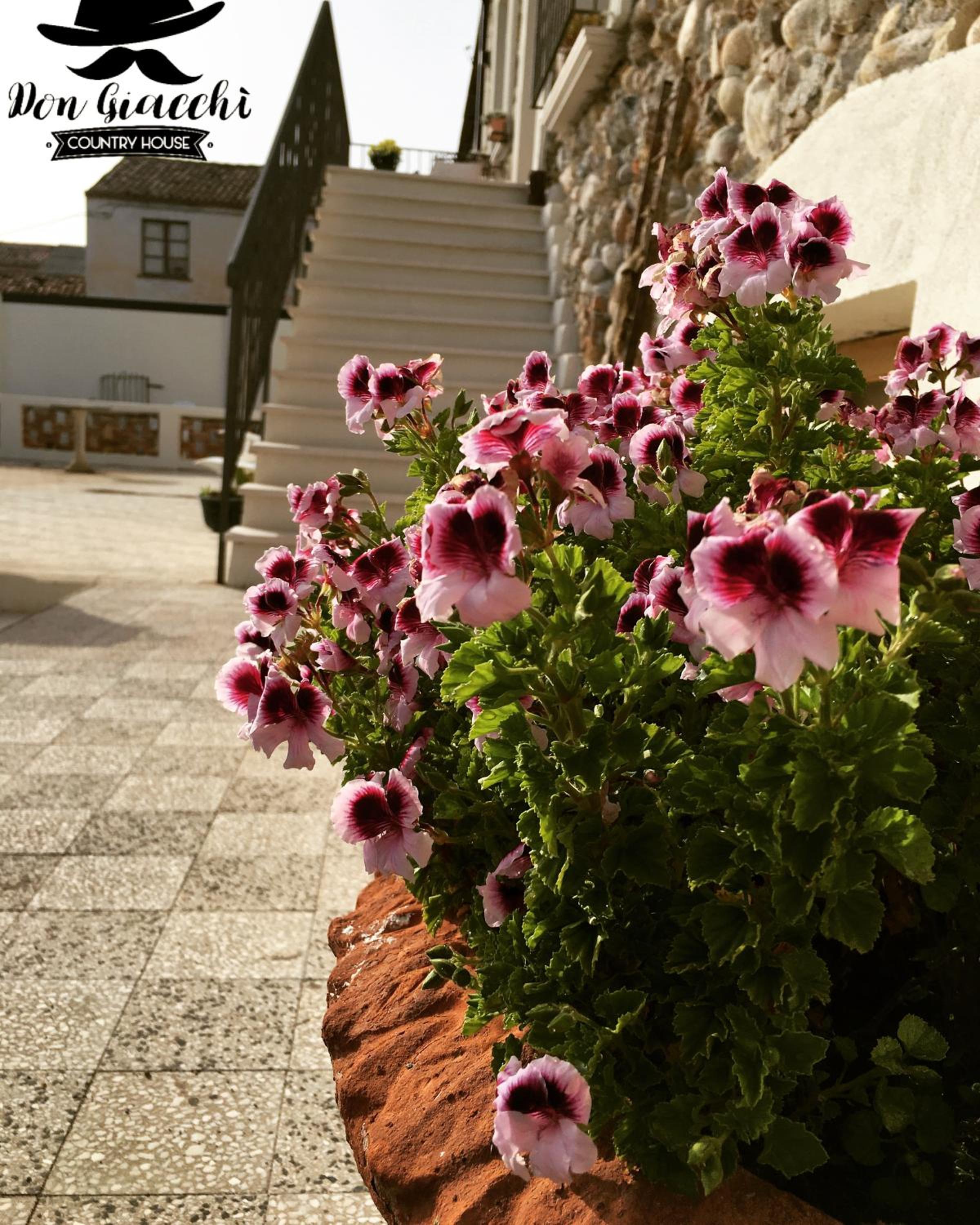 Don Giacchì Country House