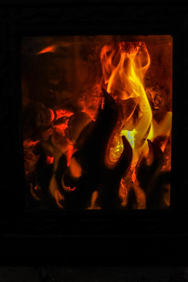 Photo 51