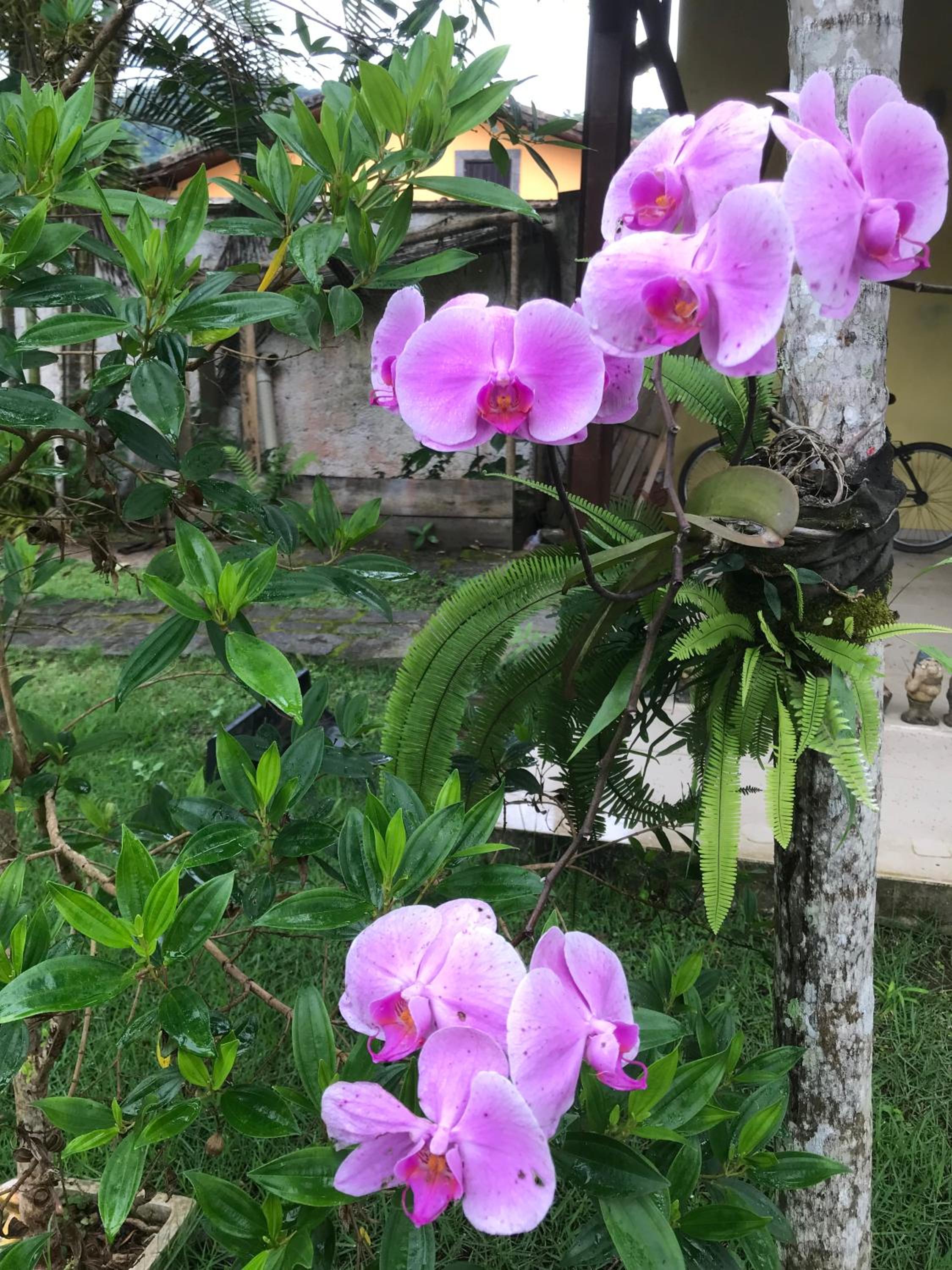 Casa paRABEns!