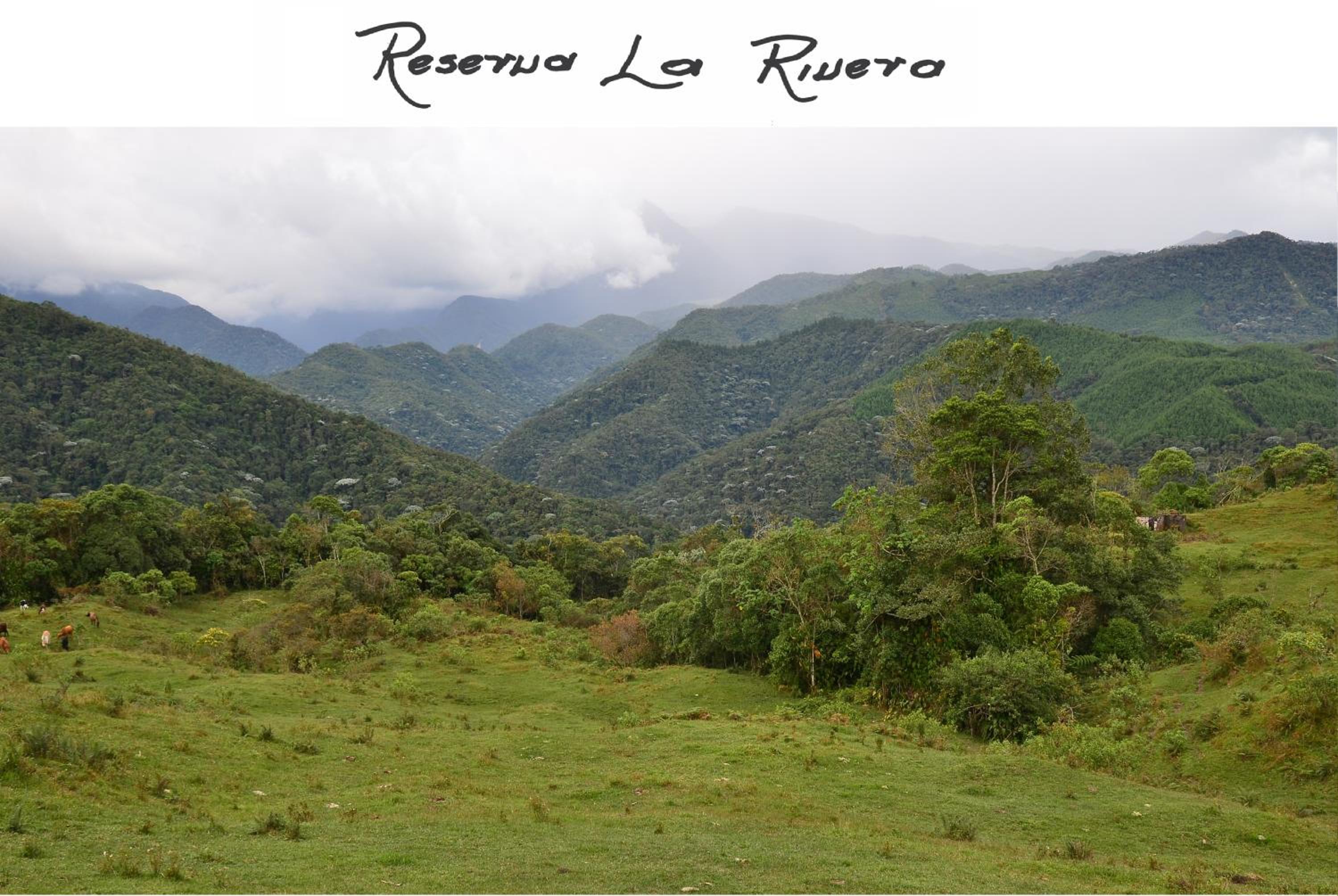 Reserva La Rivera