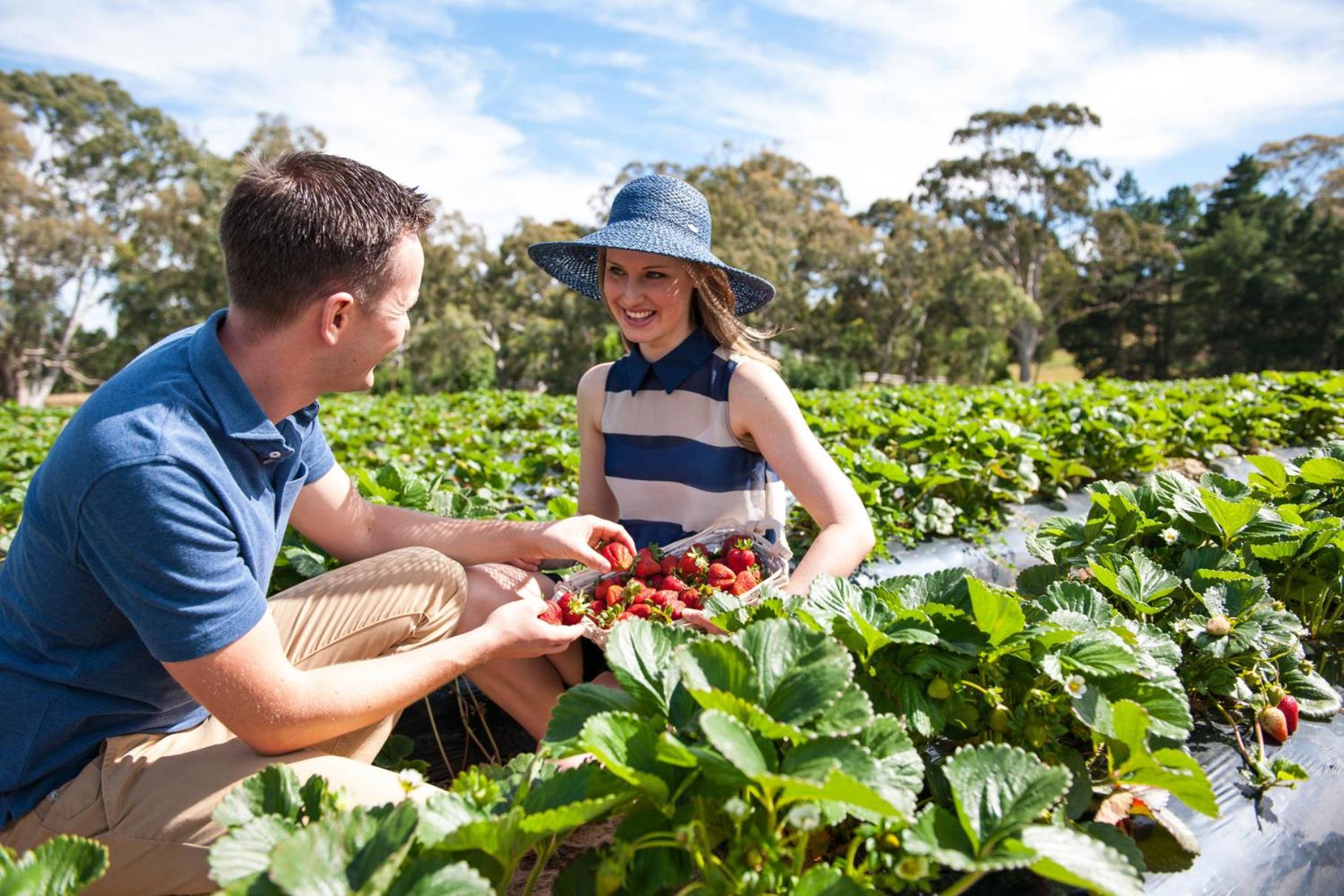 Adelaide Hills Escape