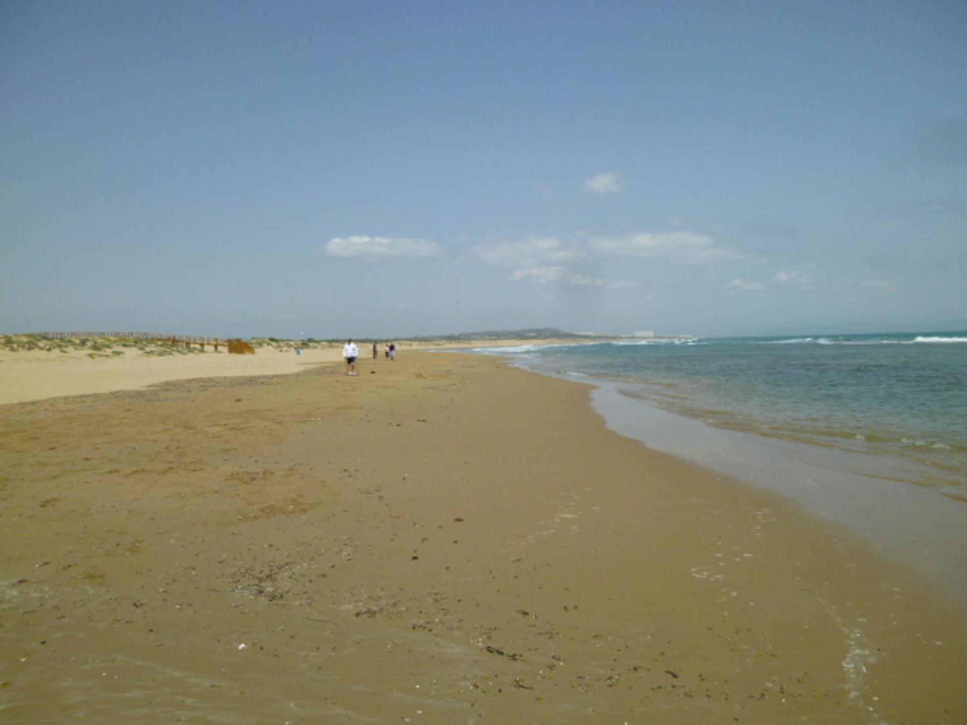 Photo 34