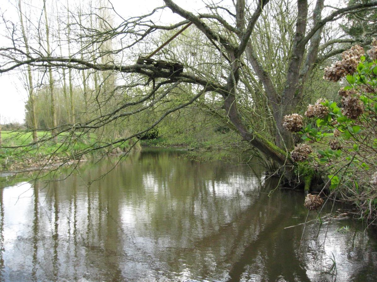 Photo 31