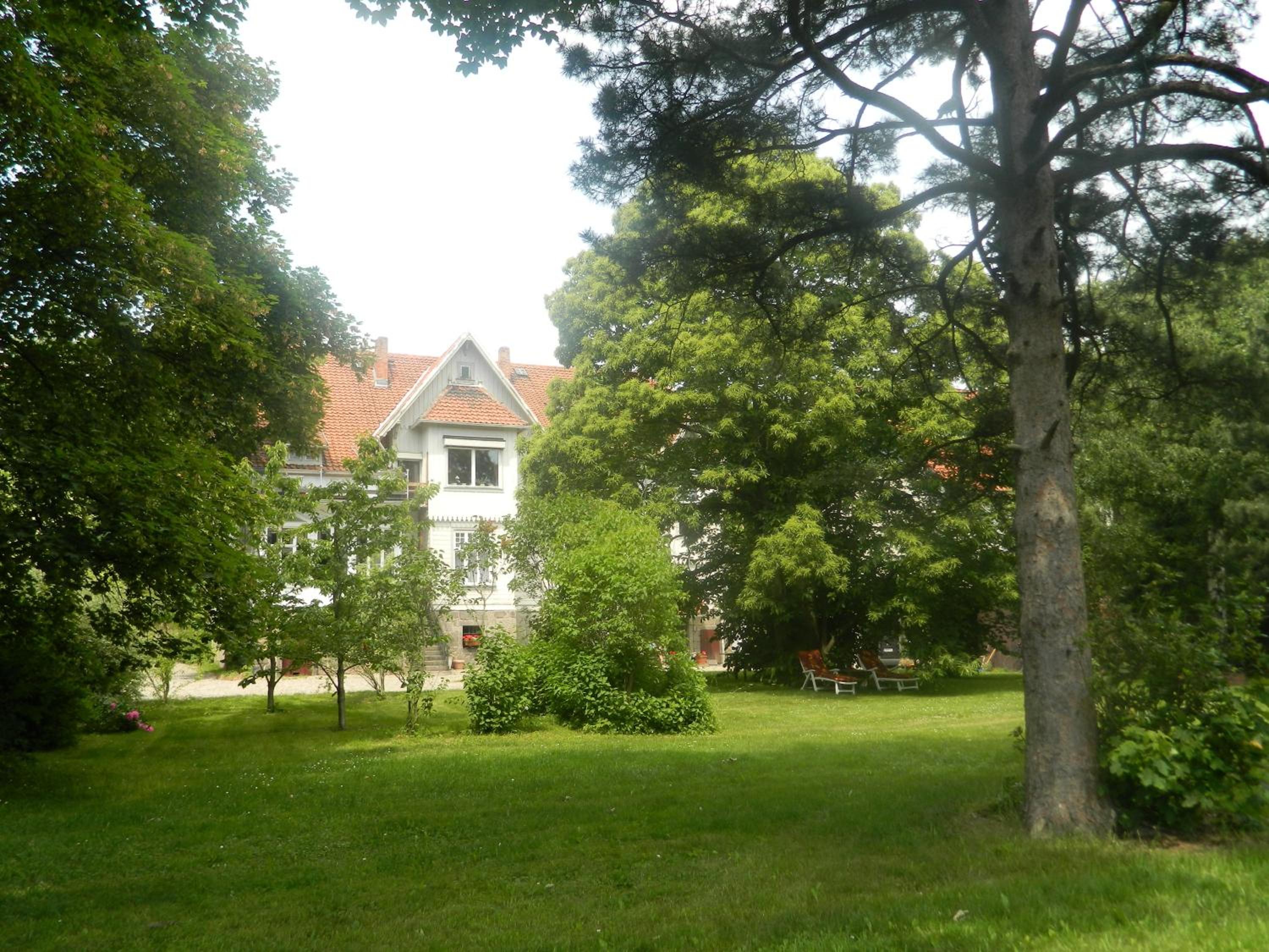 Photo 42
