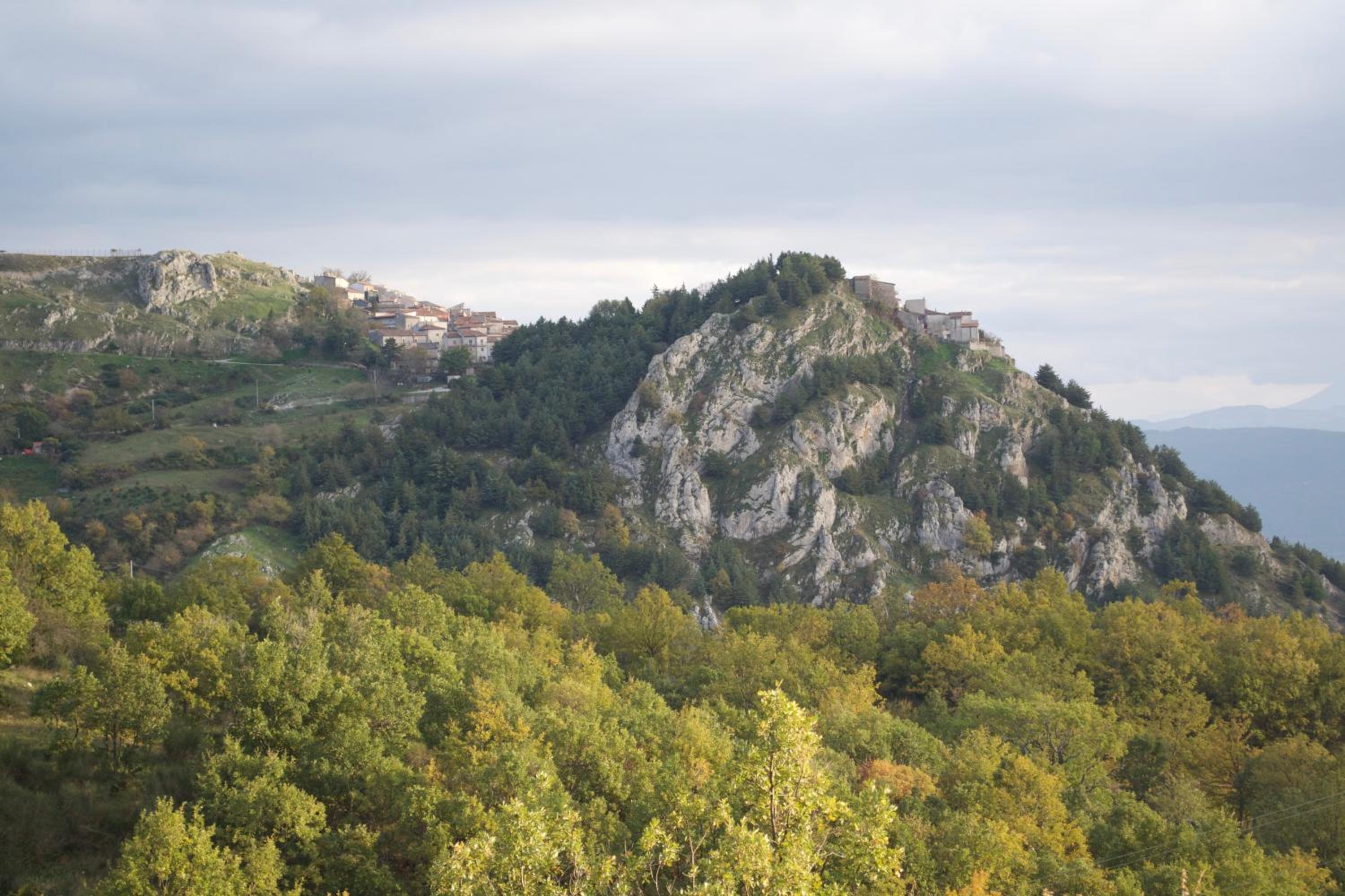Azienda Agricola Il Querceto
