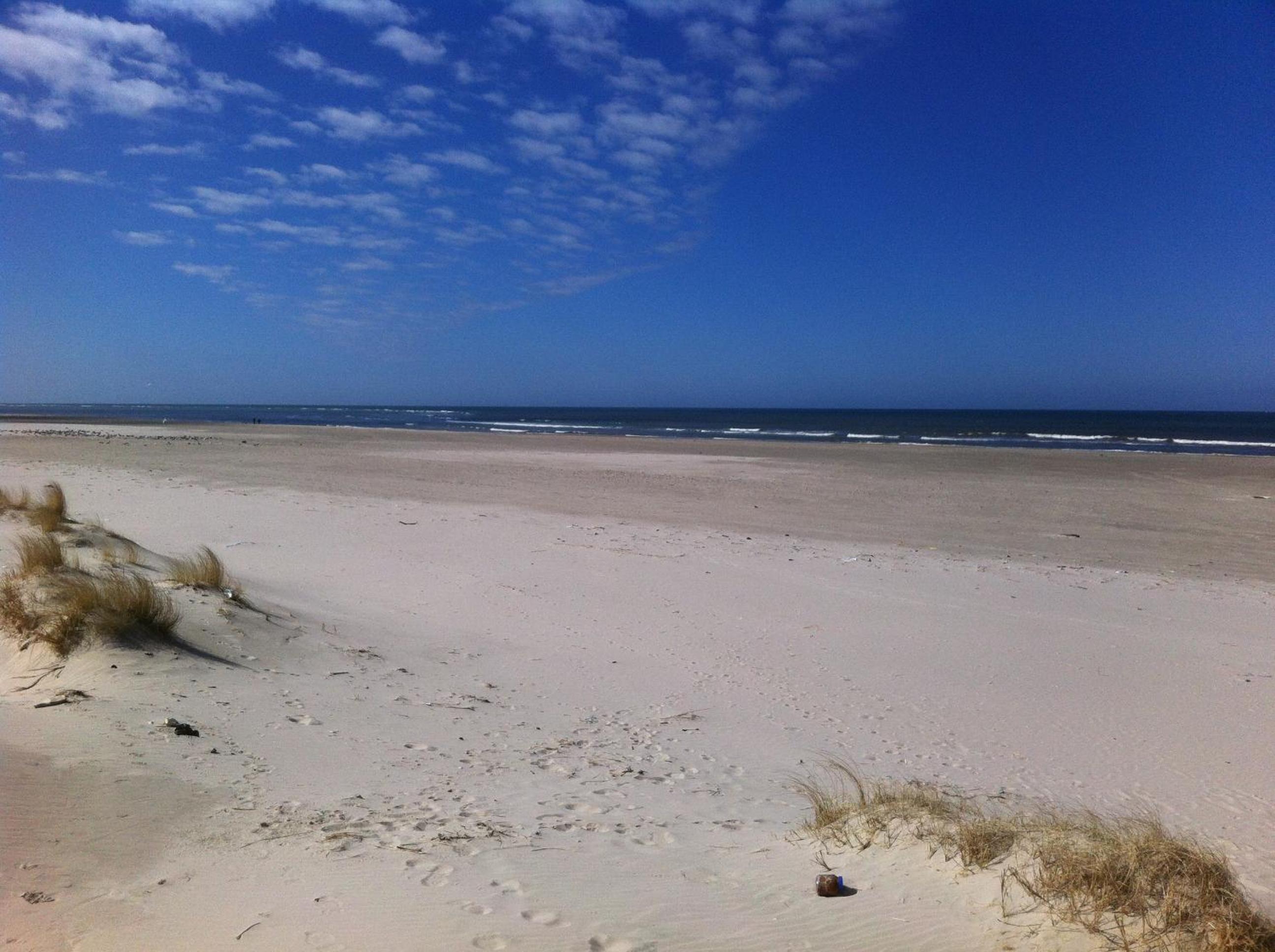 Vejers Family Camping & Cottages view 4