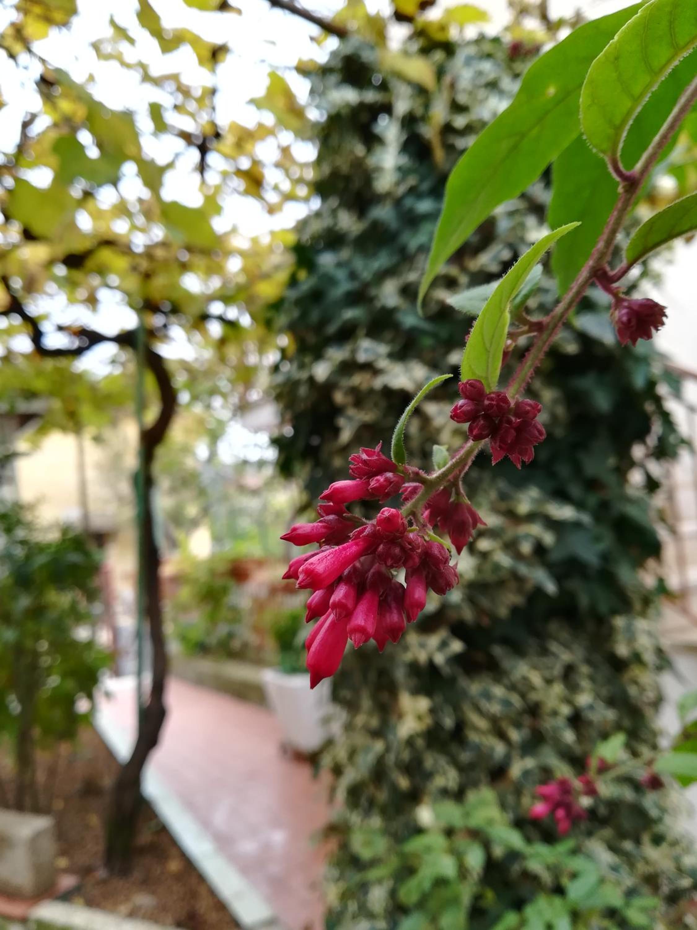 In vacanza a Itri - Casa Ileana photo 5