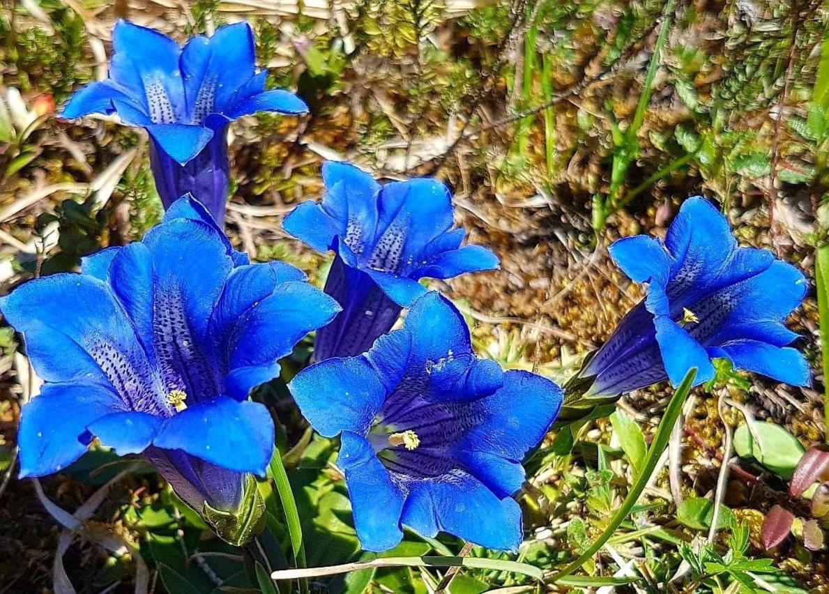 Photo 33