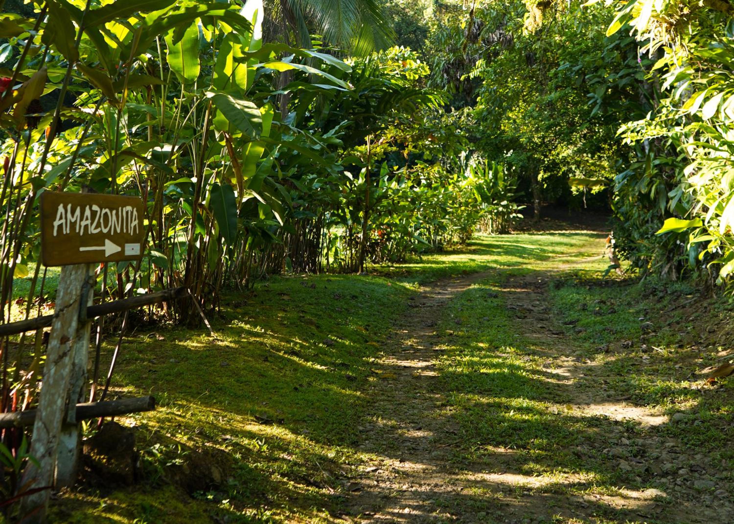 Amazonita Ecolodge