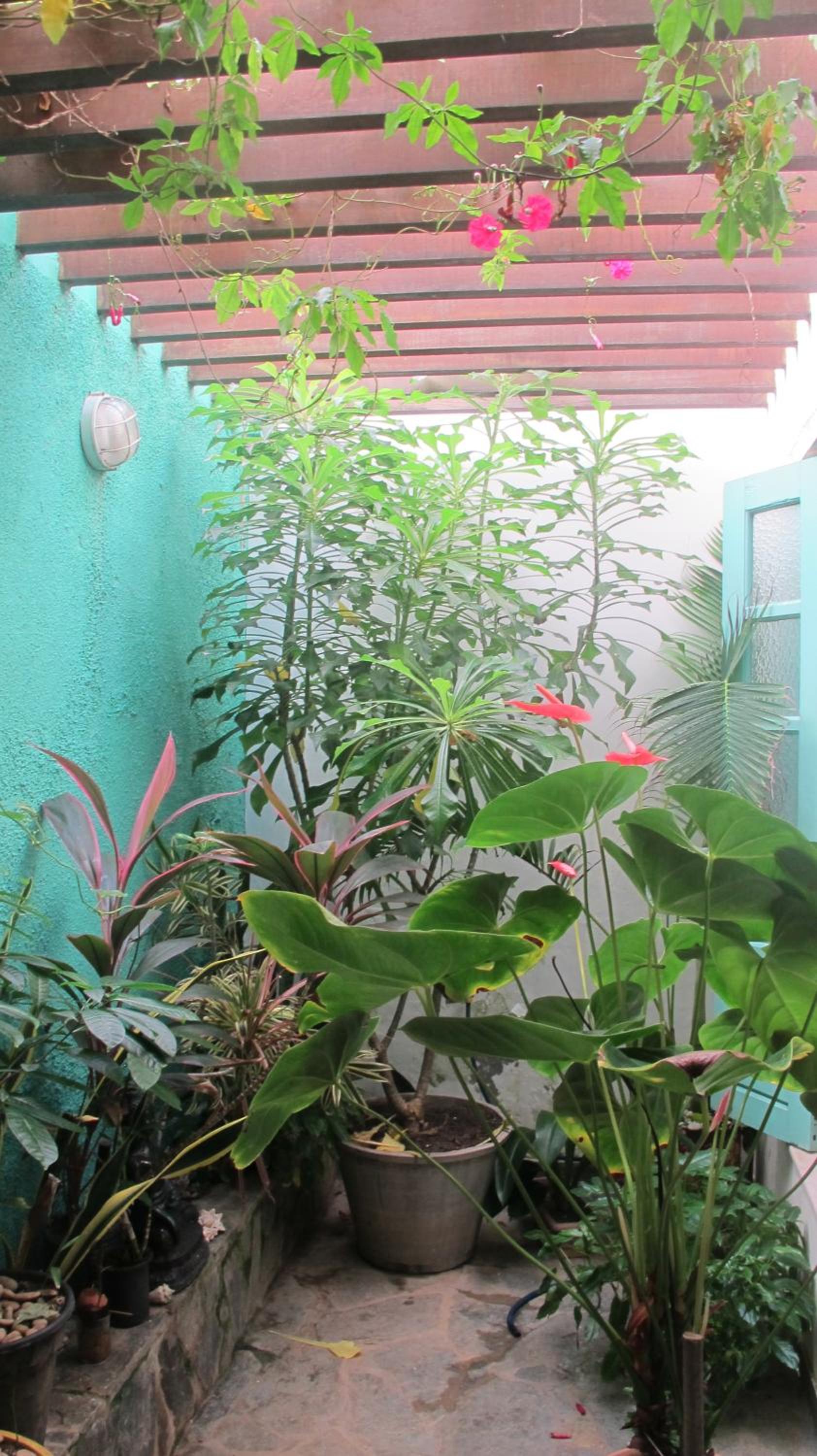 Alfazema Cultural Bed and Breakfast