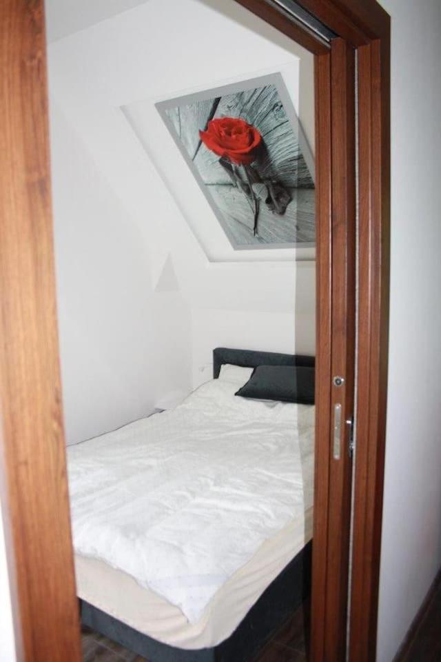Apartament Sofii w Centrum view 3