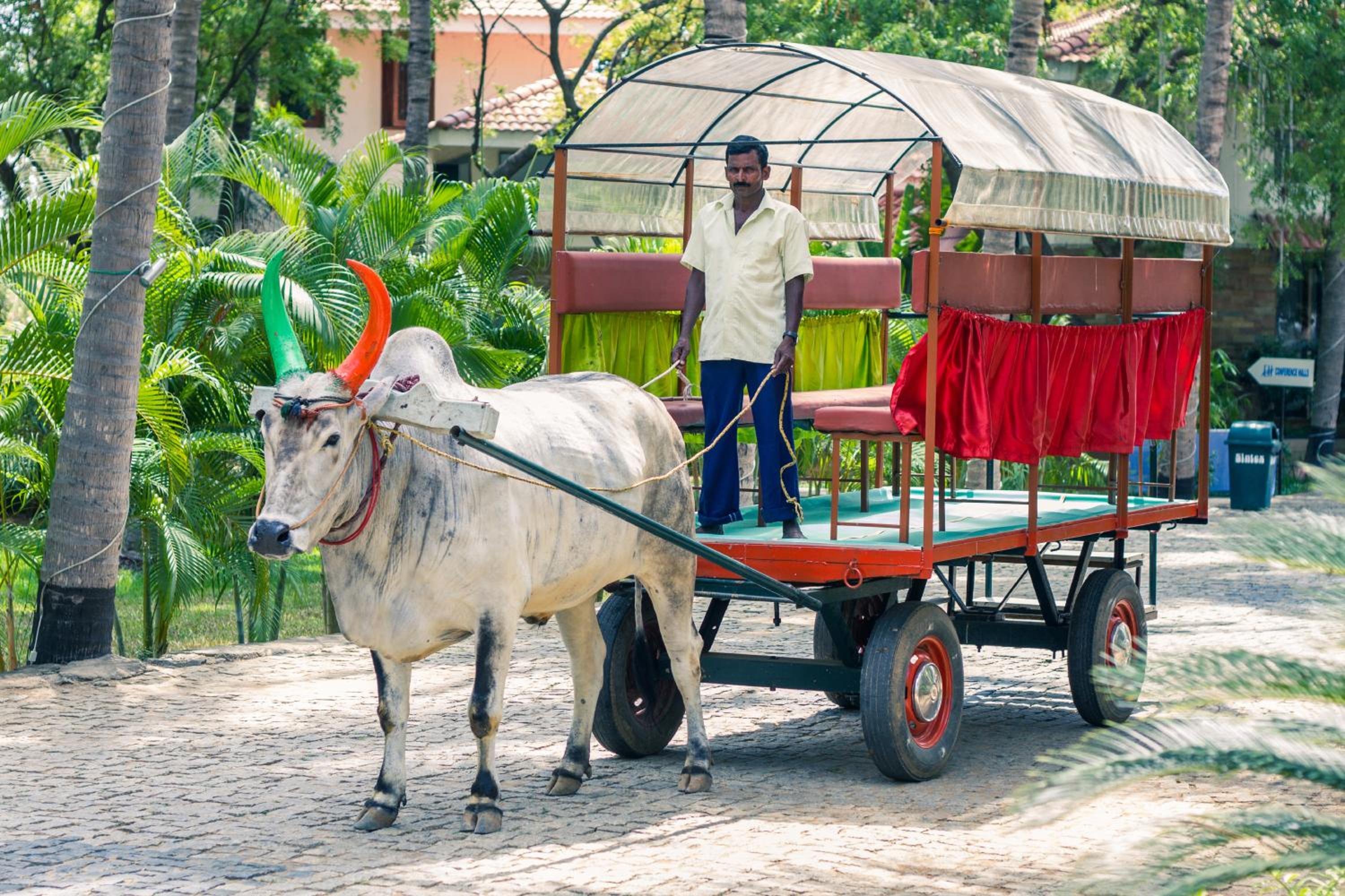 Mahabalipuram Vacations - Esthell Village Resort - Property Image 25