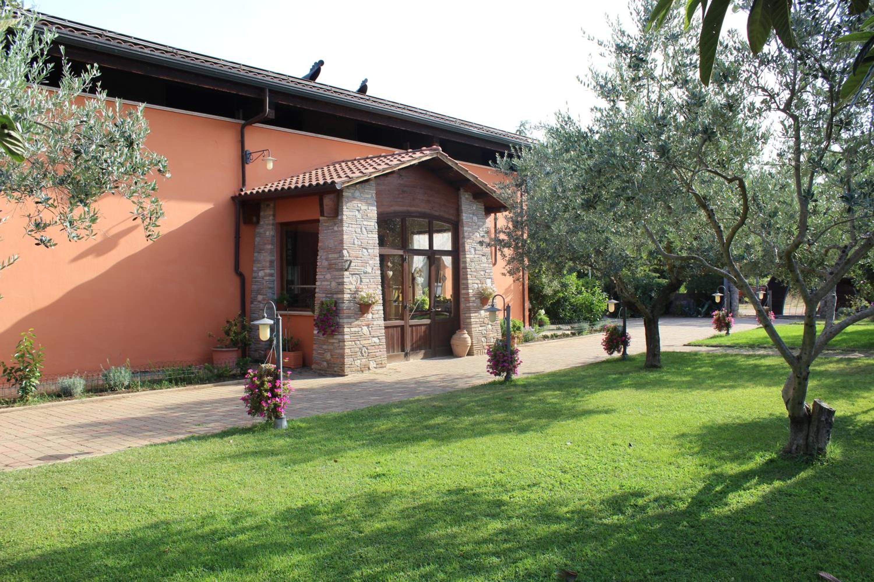Photo 11
