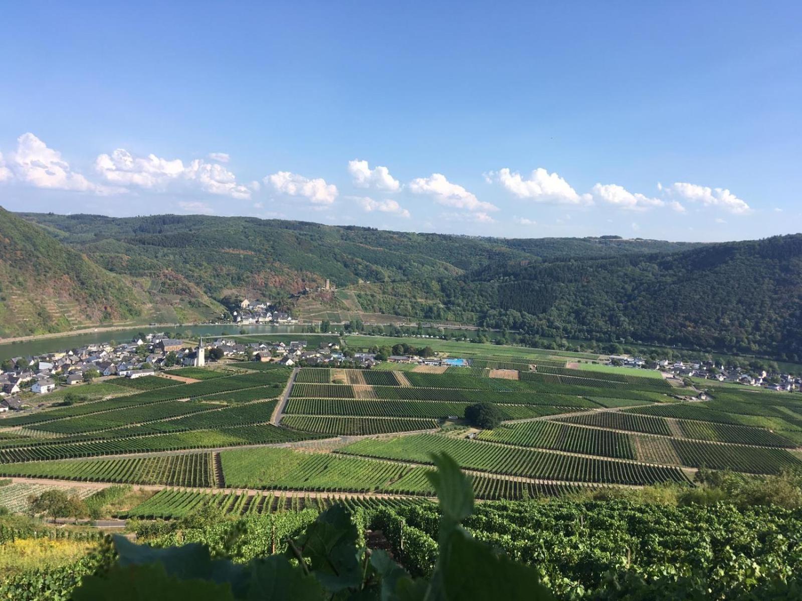 Ferienwohnungen Fuhrmann-Burg