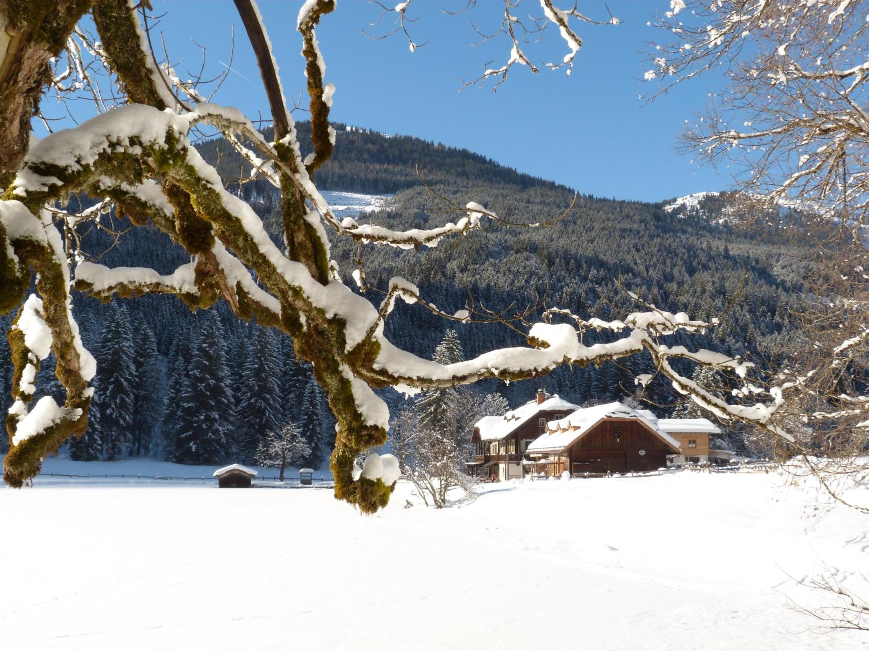 Appartement Schuller