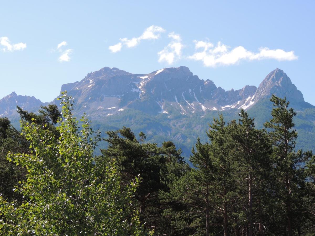 Parc Résidentiel de Loisir : Le Loup Blanc du Riou