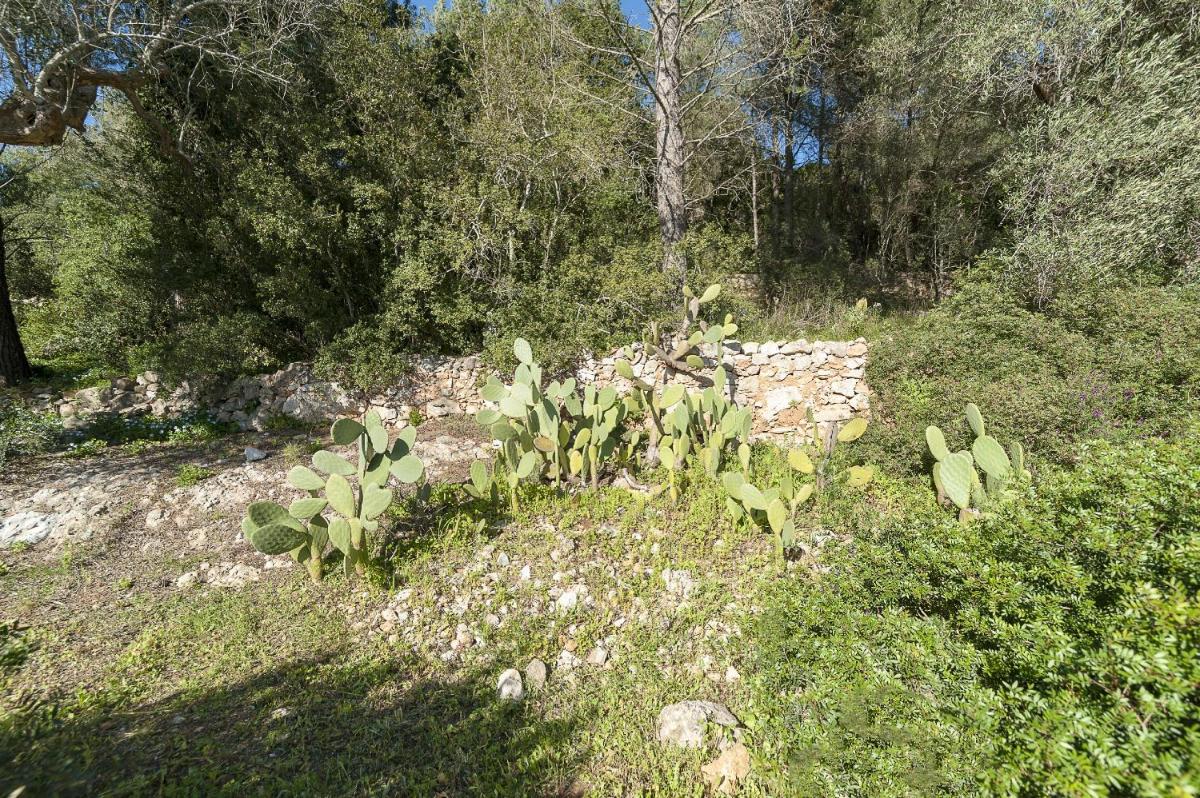 Photo 22