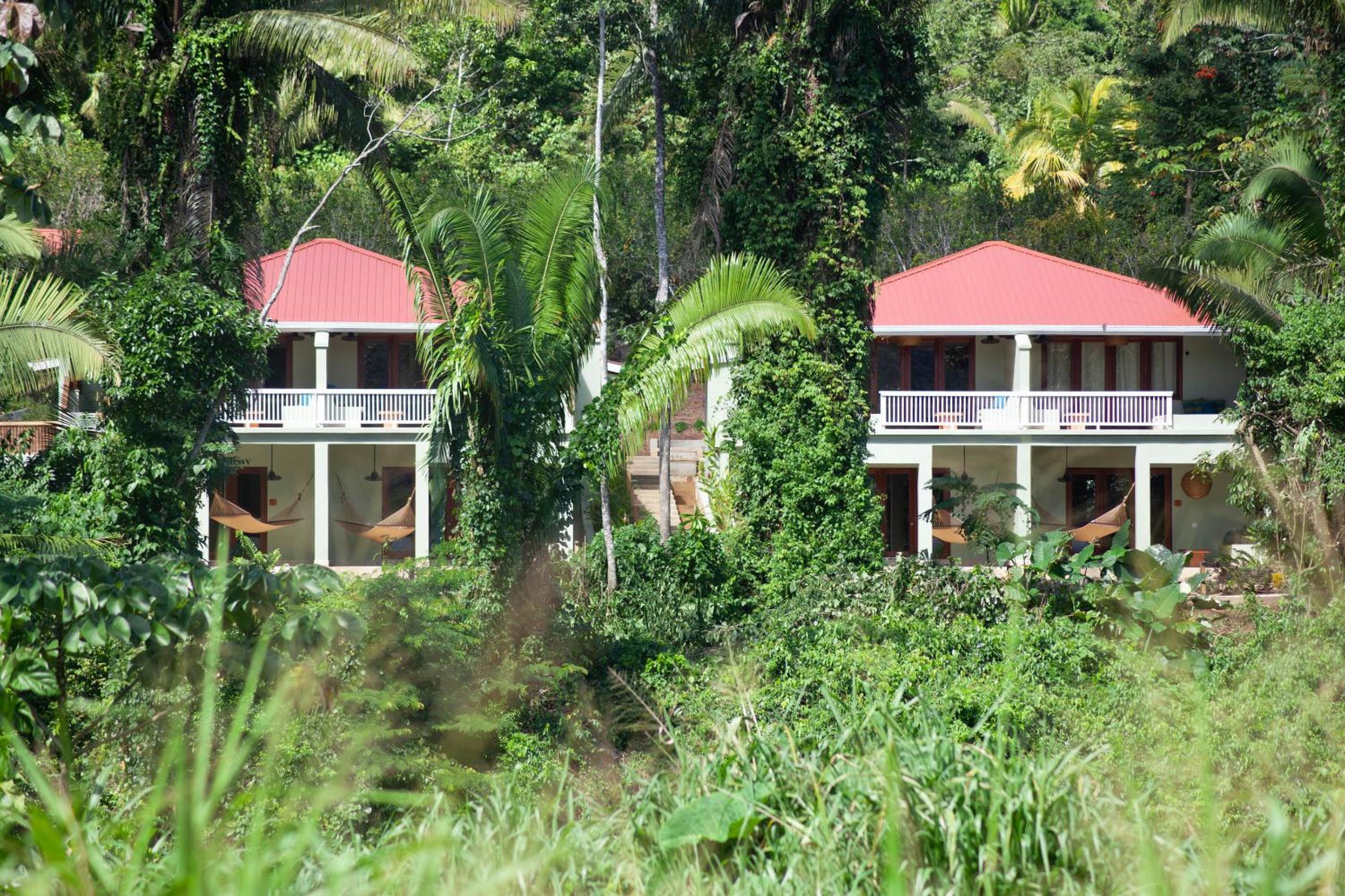 Sleeping Giant Rainforest Lodge
