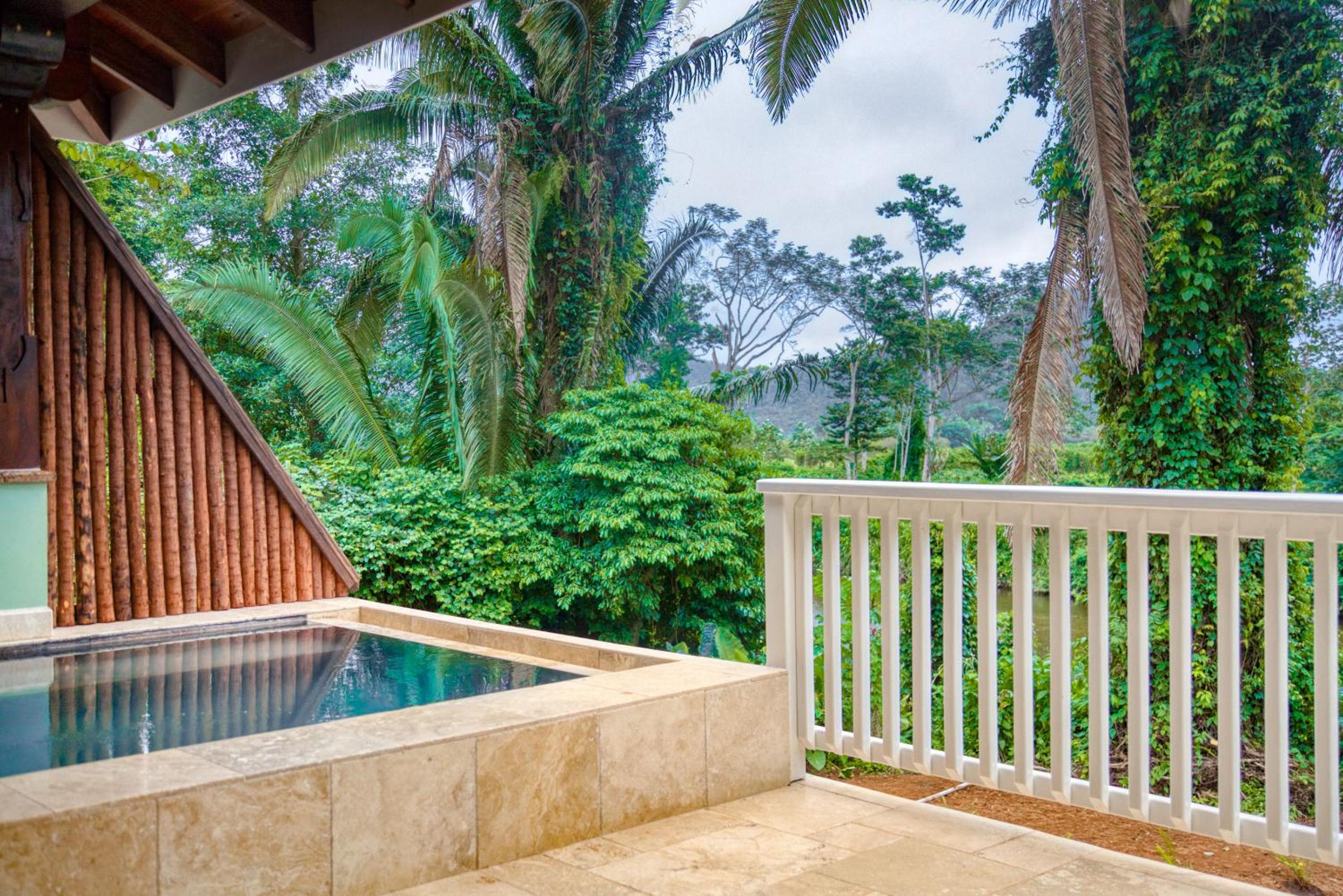 Sleeping Giant Rainforest Lodge