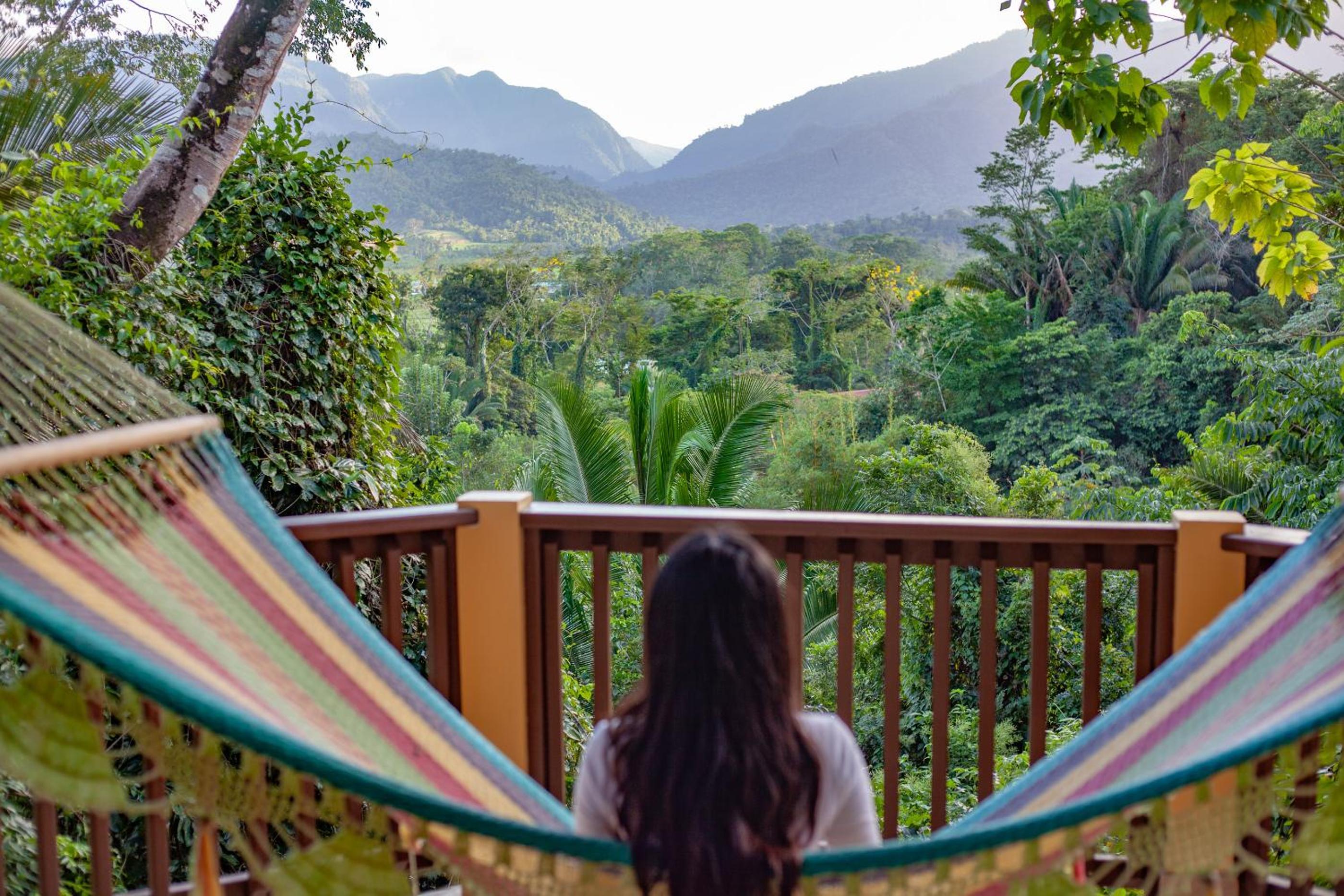 Sleeping Giant Rainforest Lodge