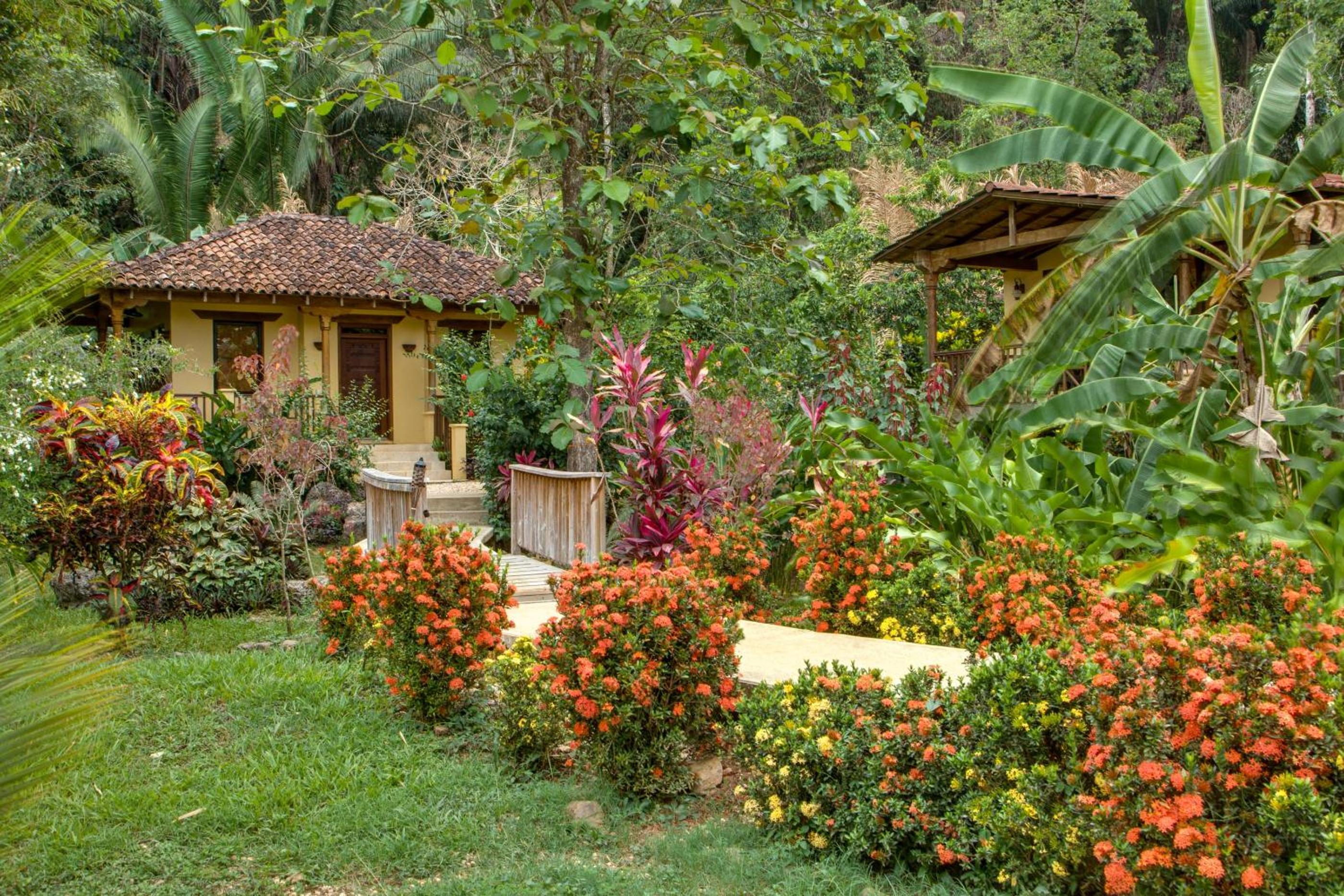 Sleeping Giant Rainforest Lodge