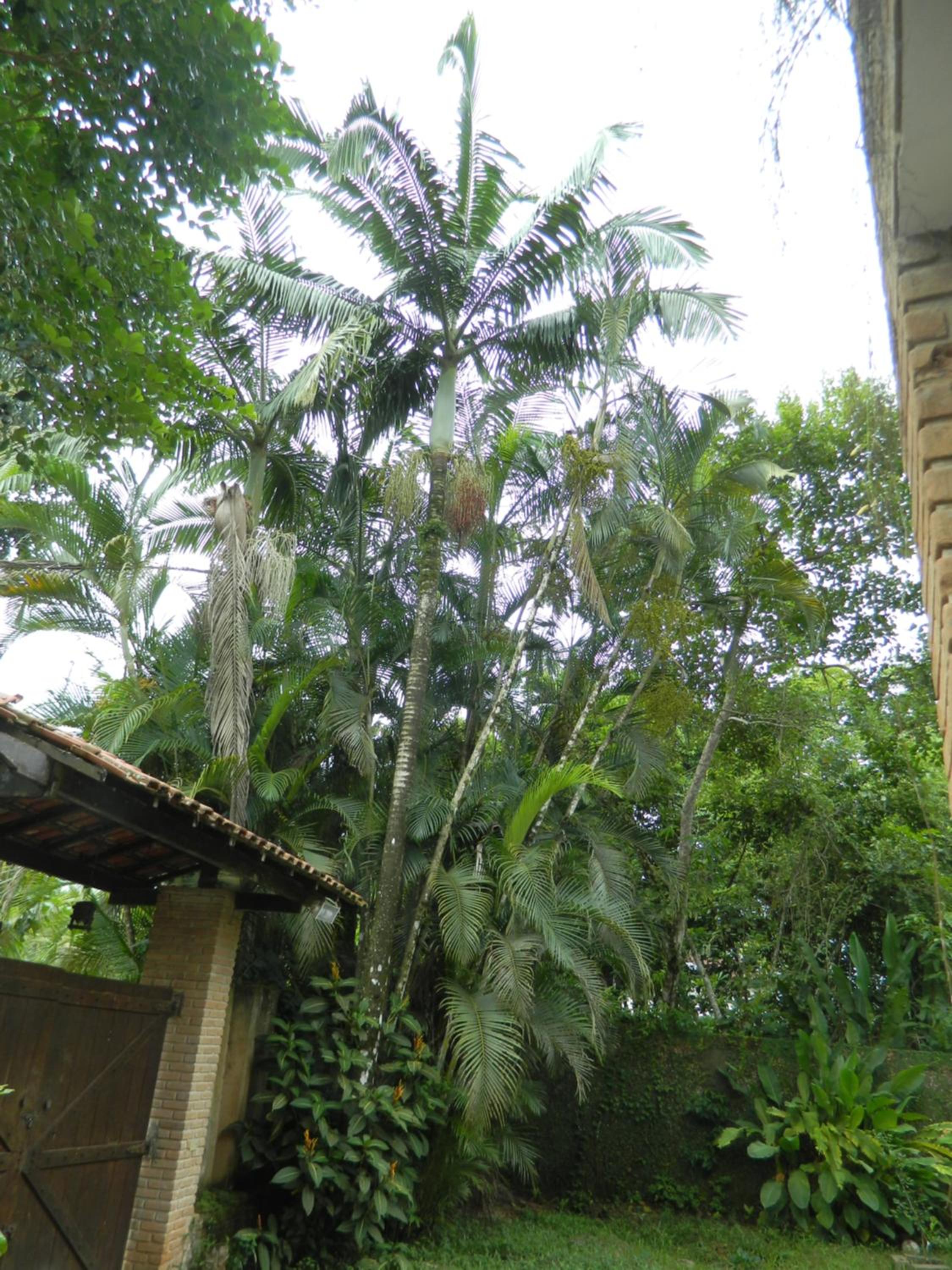 Solar das Canoas Prumirim
