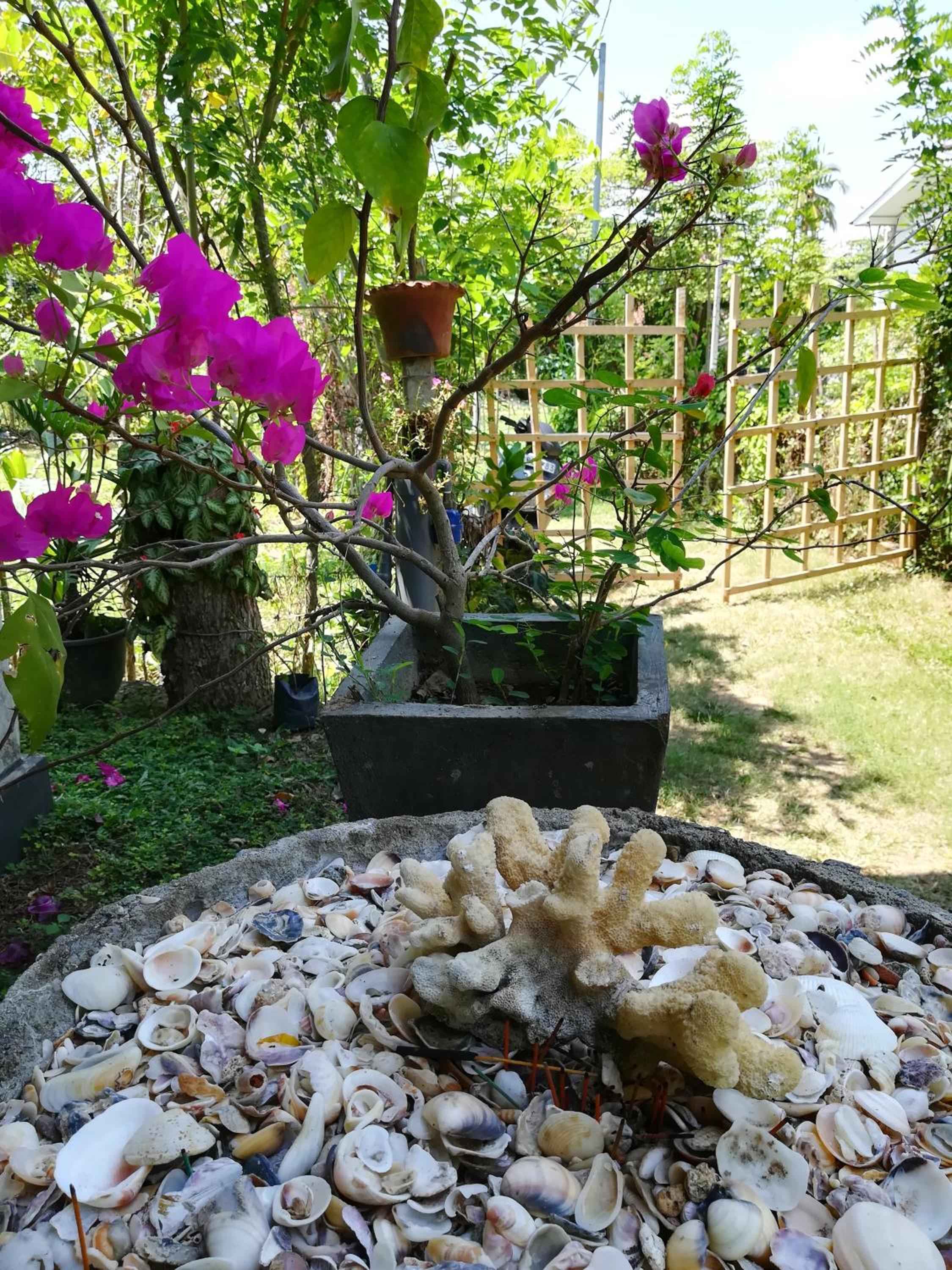 Julianu
