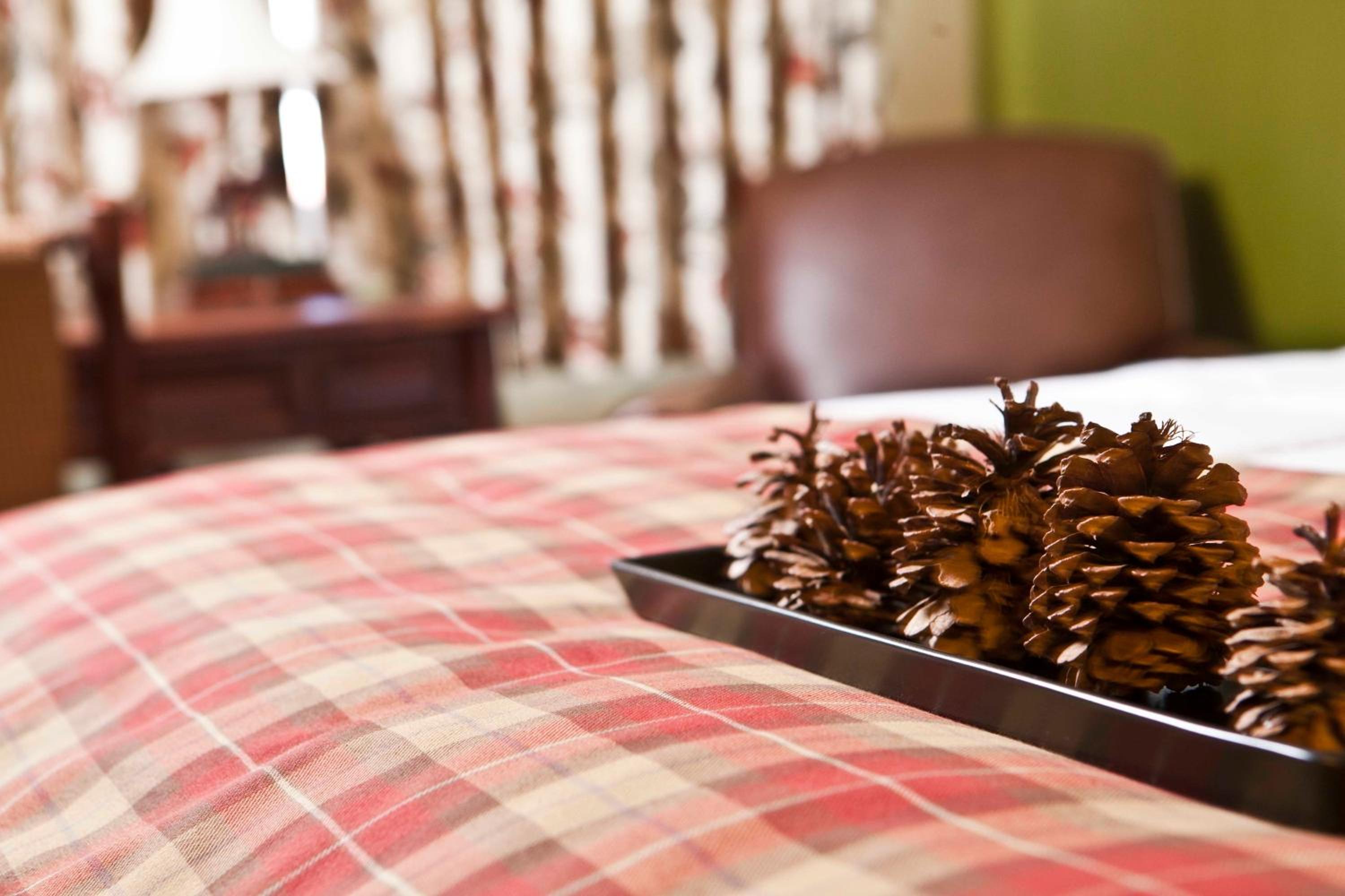 Gunnison Vacations - The Inn at Tomichi Village - Property Image 6