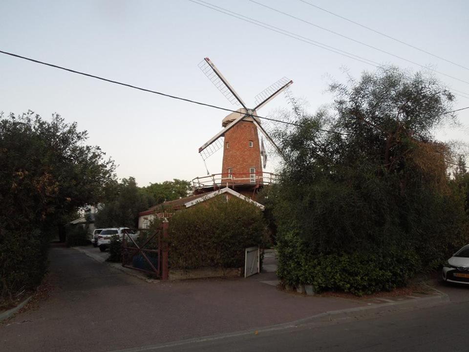 Photo 12