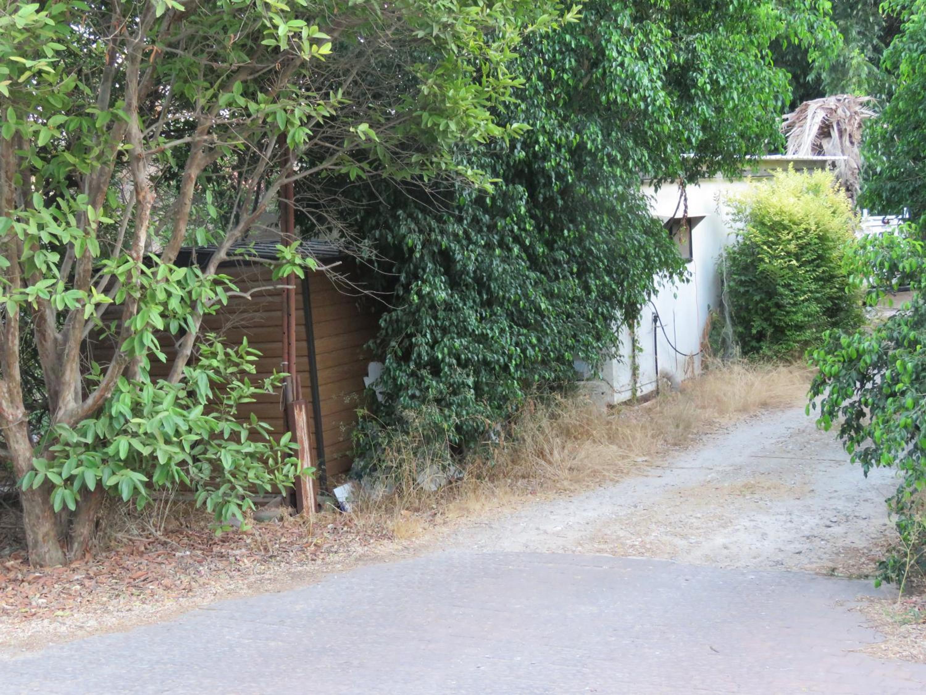 Photo 20