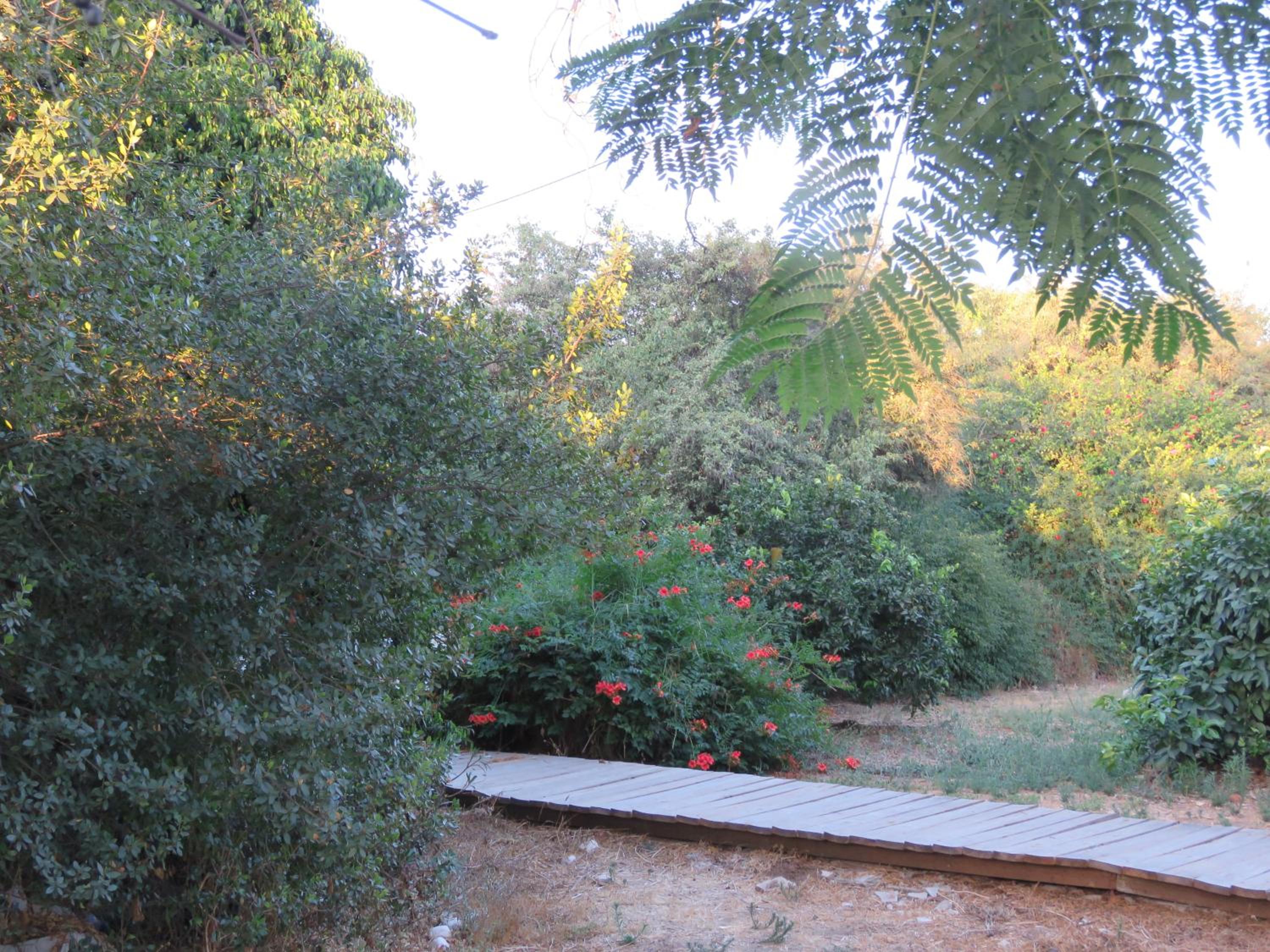 Photo 25