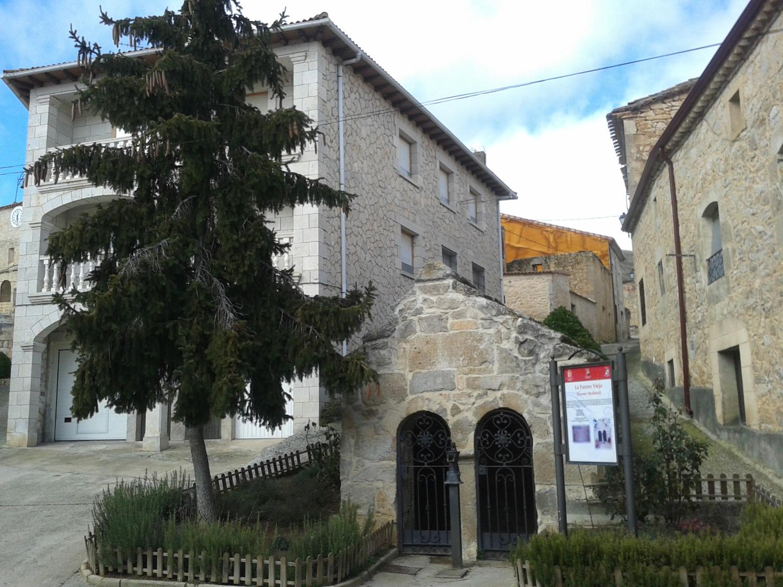 Photo 15