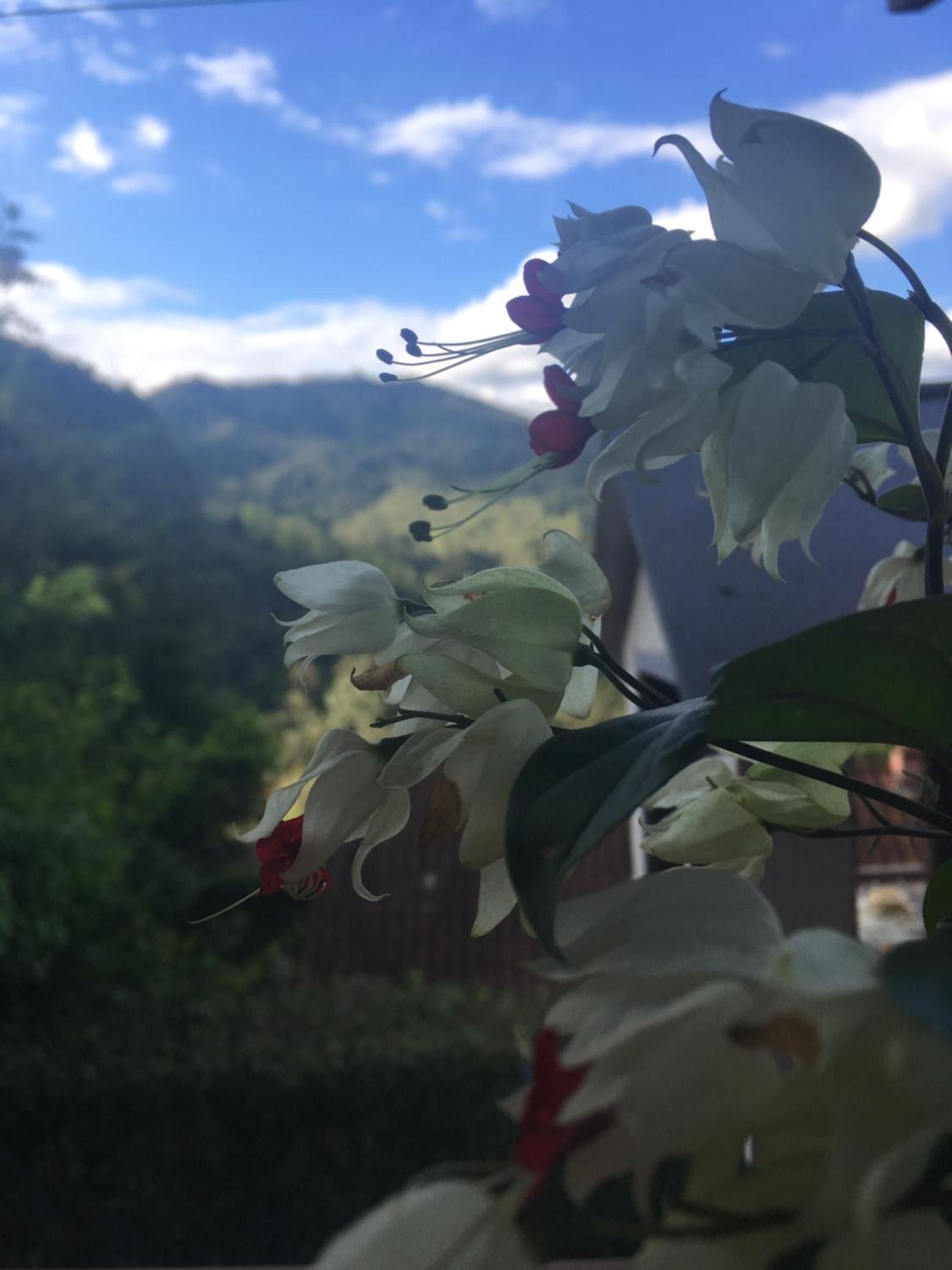 Casa Sossego da Montanha