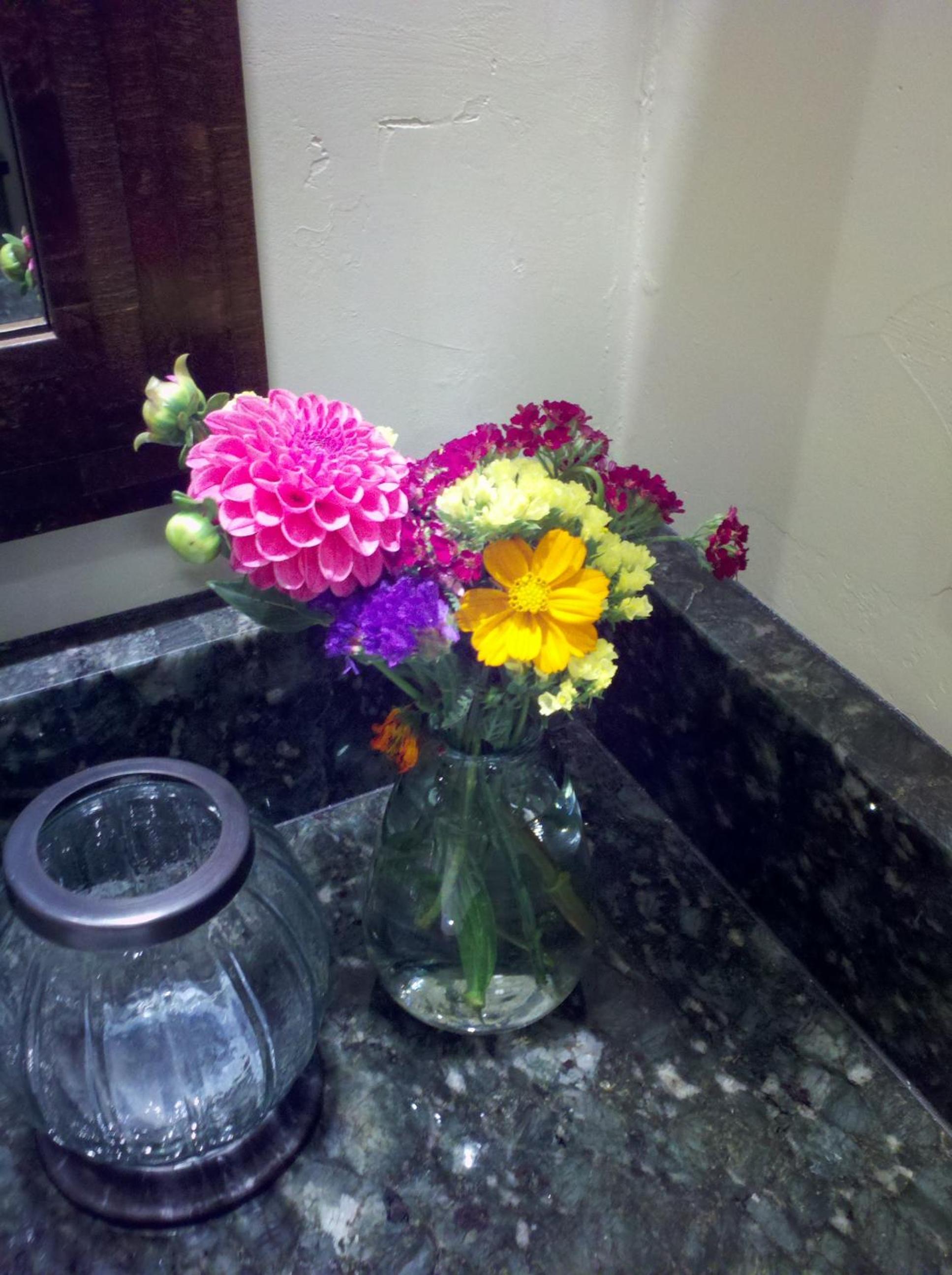 Photo 7